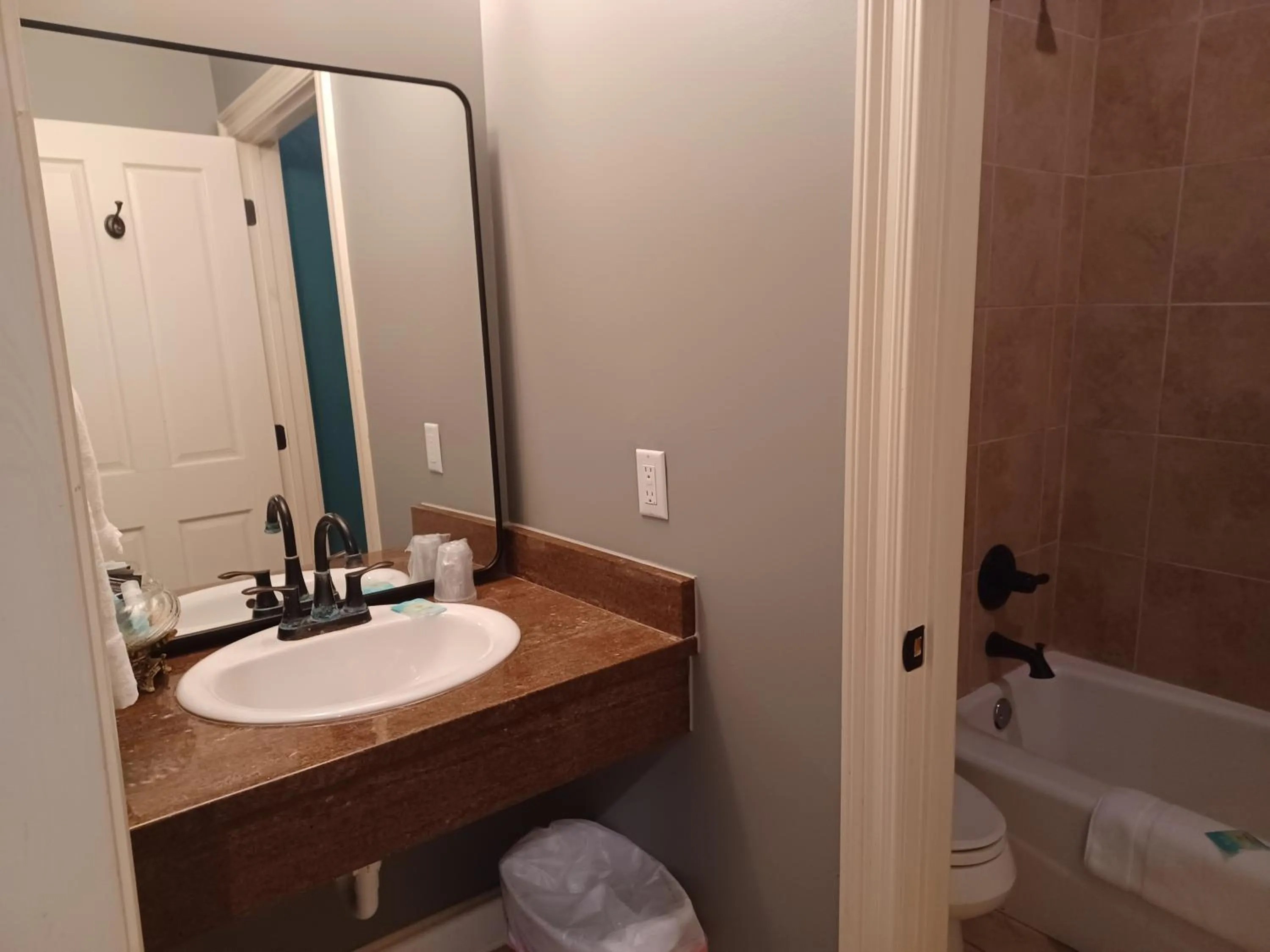 Shower in Natchez Manor Bed & Breakfast