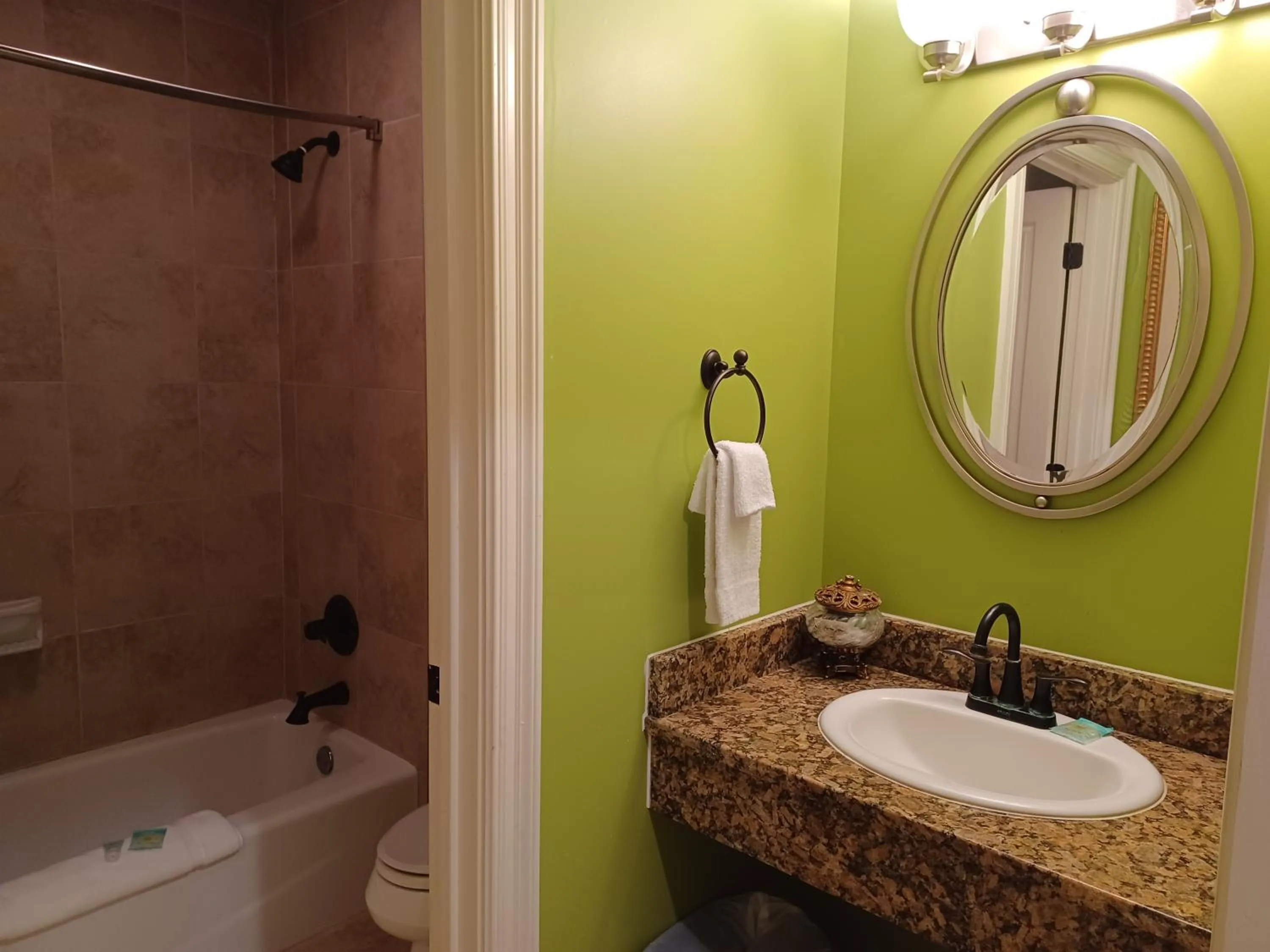 Shower in Natchez Manor Bed & Breakfast