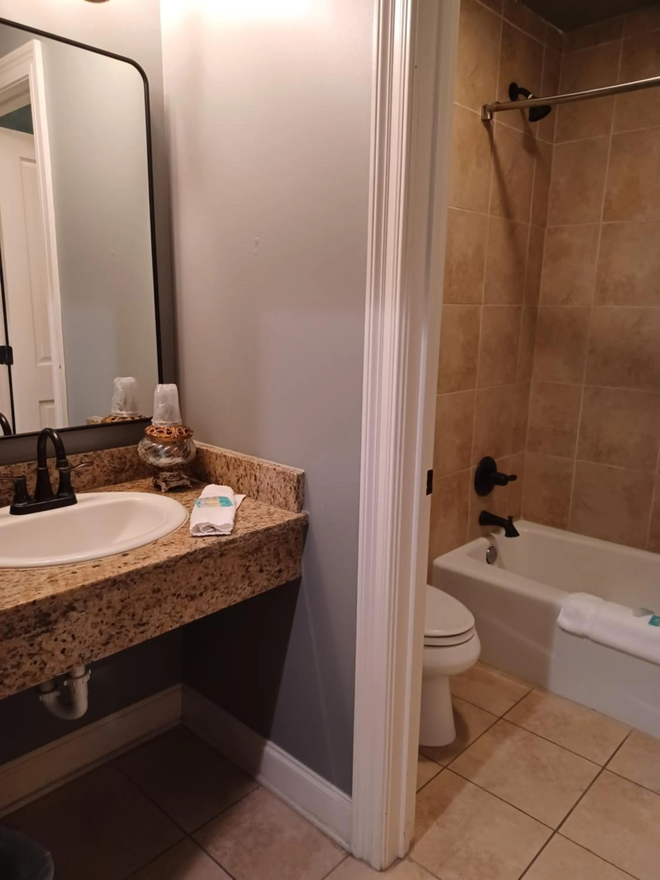 Shower in Natchez Manor Bed & Breakfast