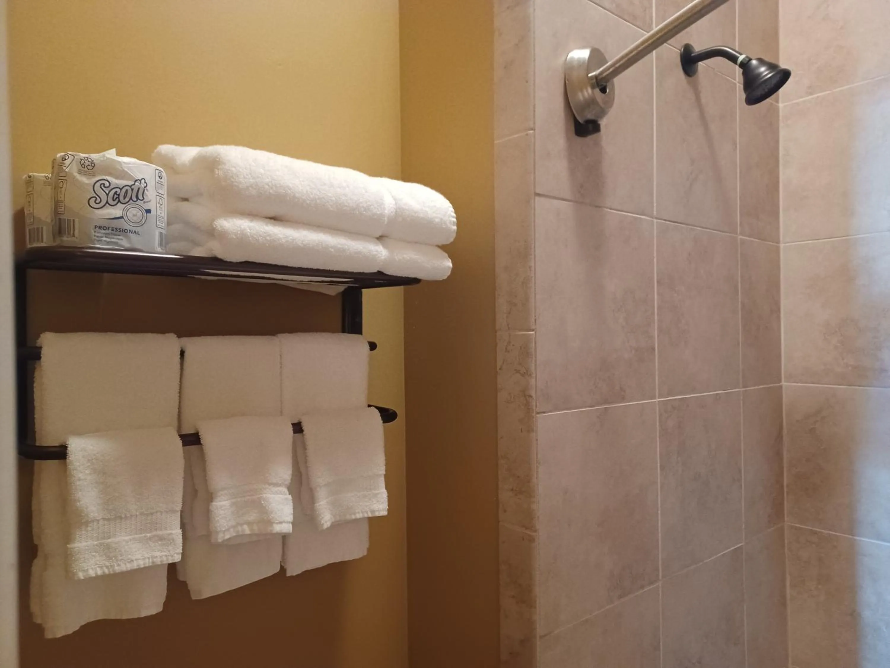 Shower in Natchez Manor Bed & Breakfast