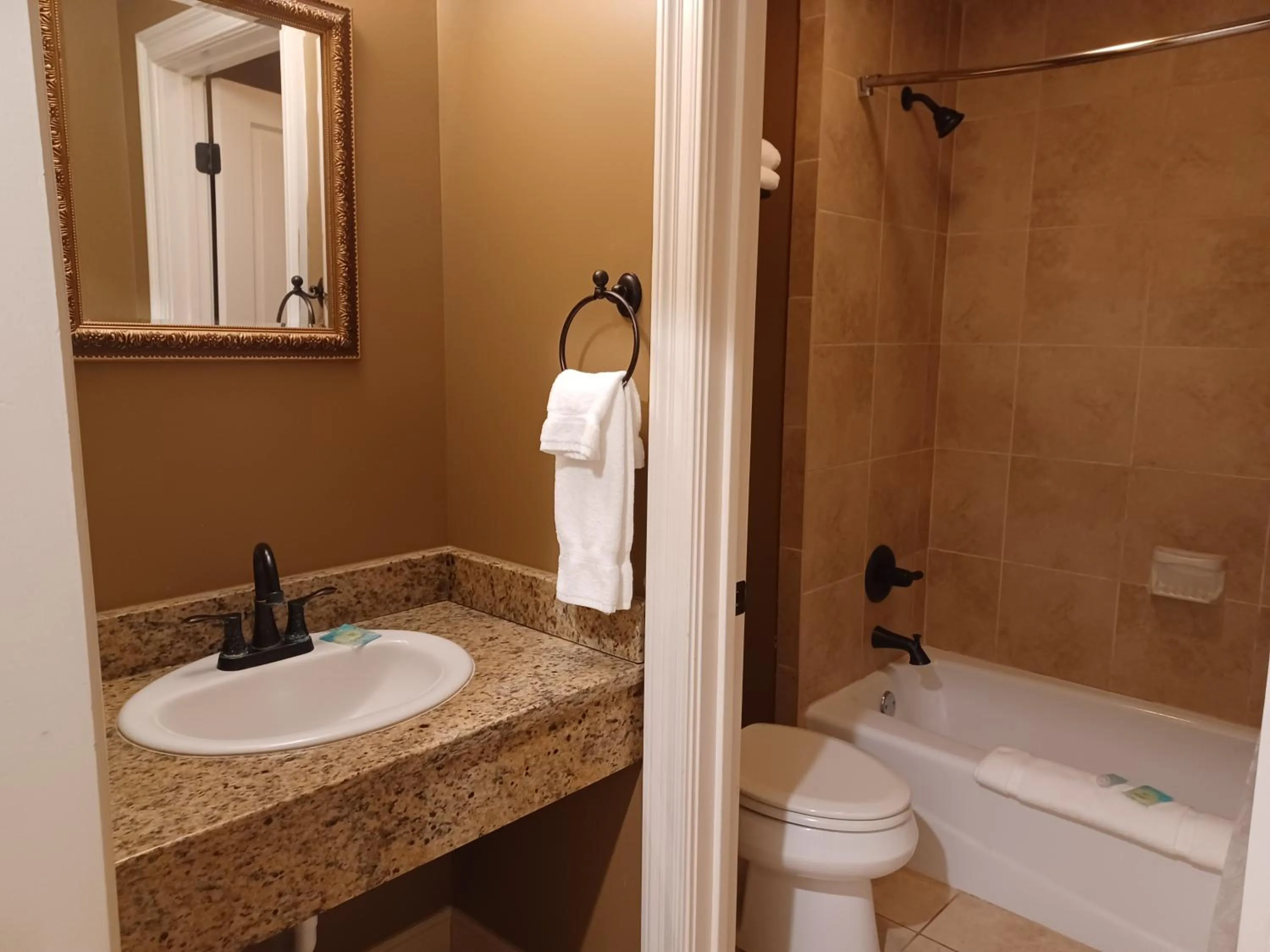 Shower in Natchez Manor Bed & Breakfast