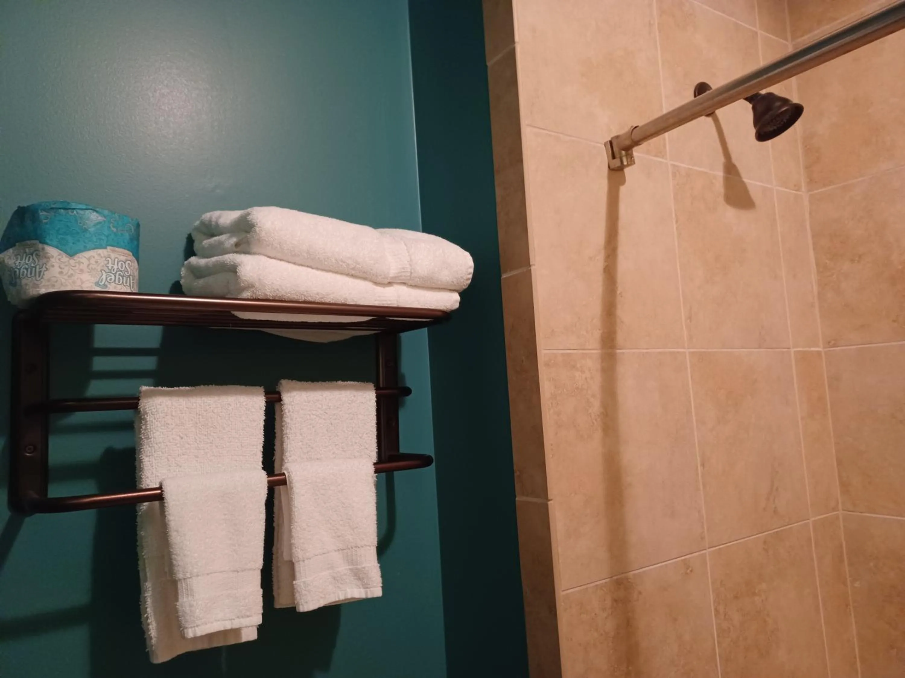 Bathroom in Natchez Manor Bed & Breakfast