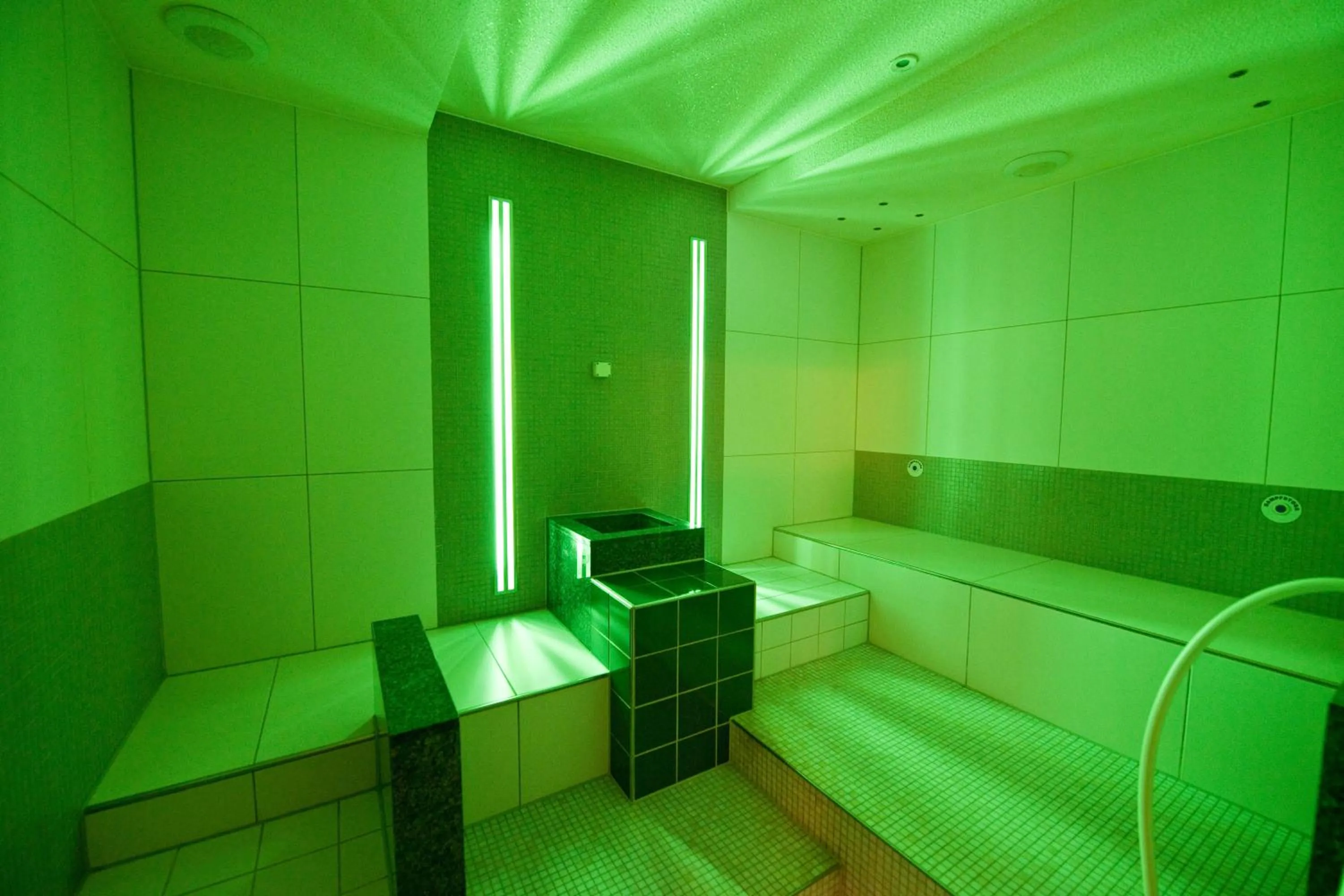 Spa and wellness centre/facilities in Hotel Scheffelhöhe