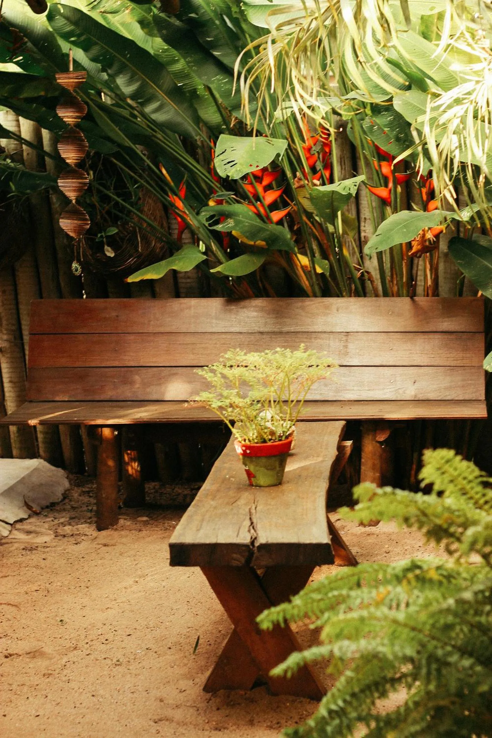 Day in Pousada Raiz Forte