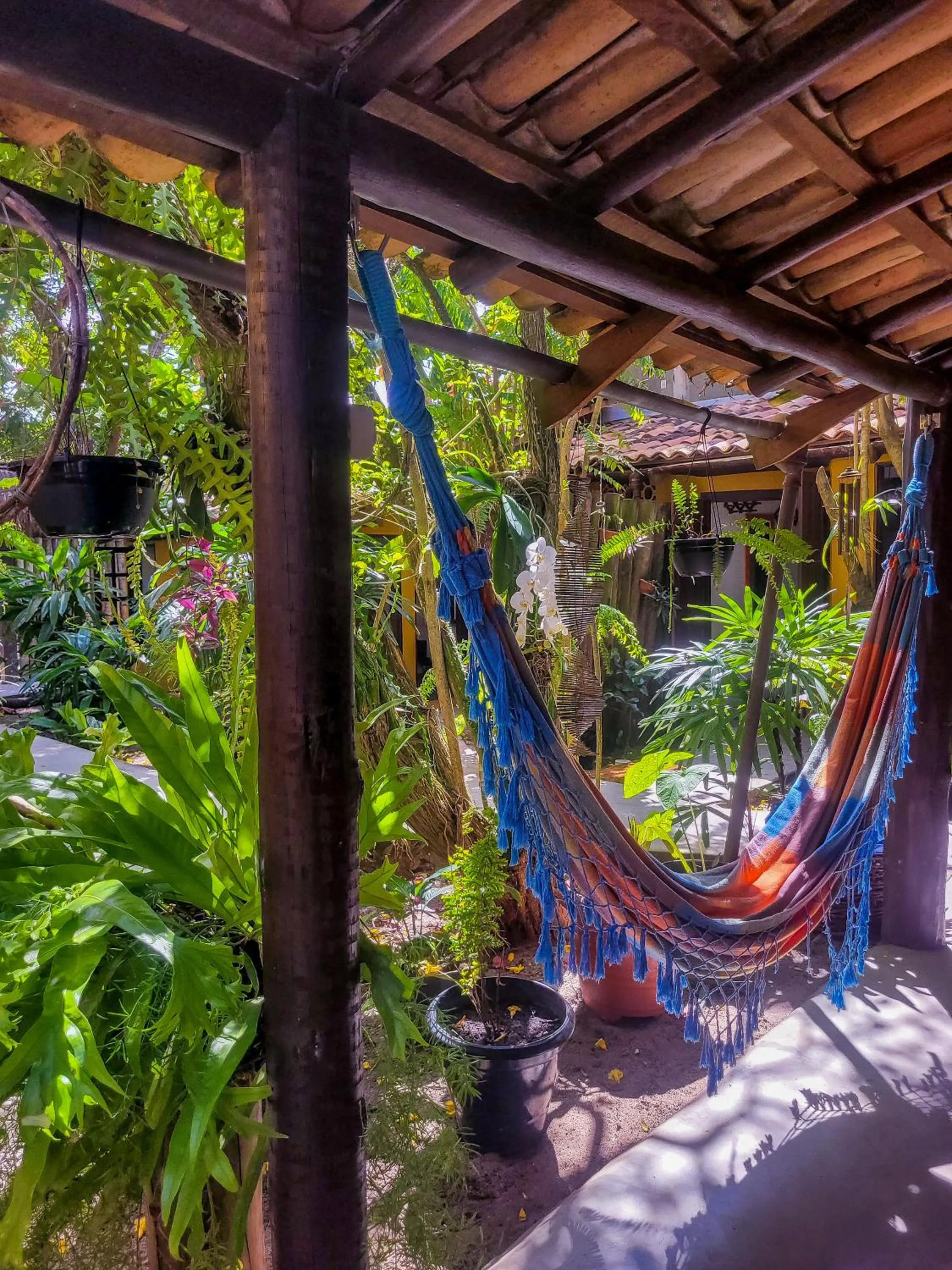 Garden in Pousada Raiz Forte