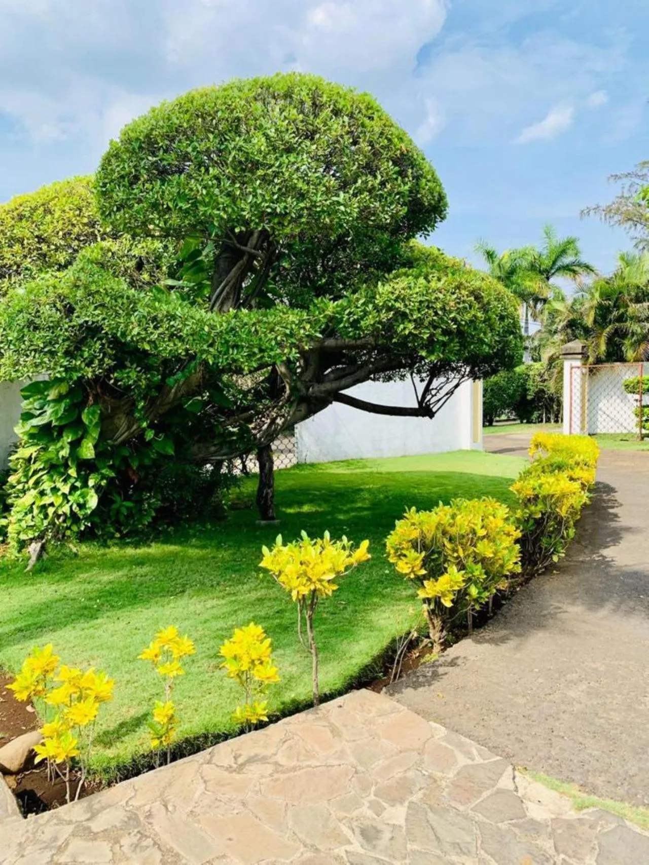 Garden in Hotel Casa del Sol
