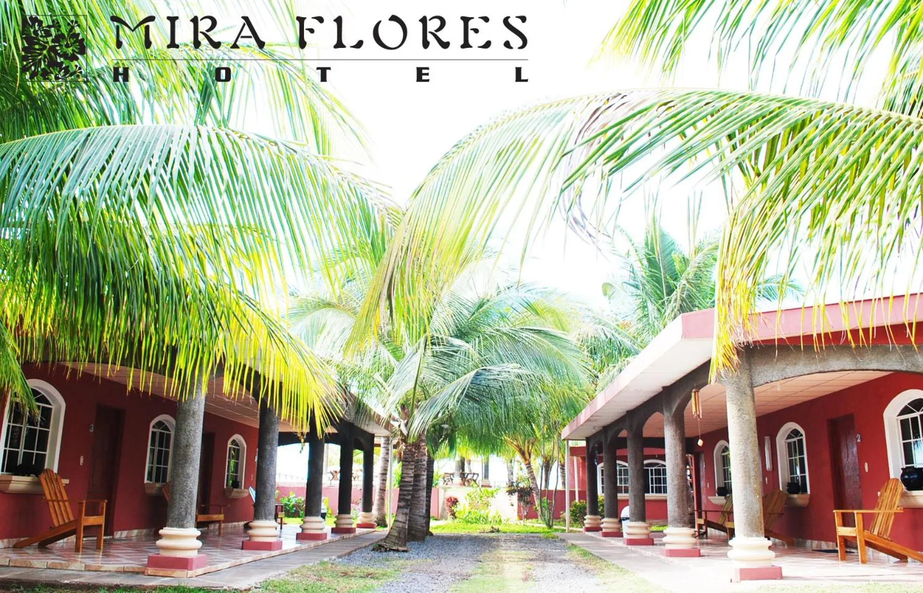 Garden in Hotel Miraflores