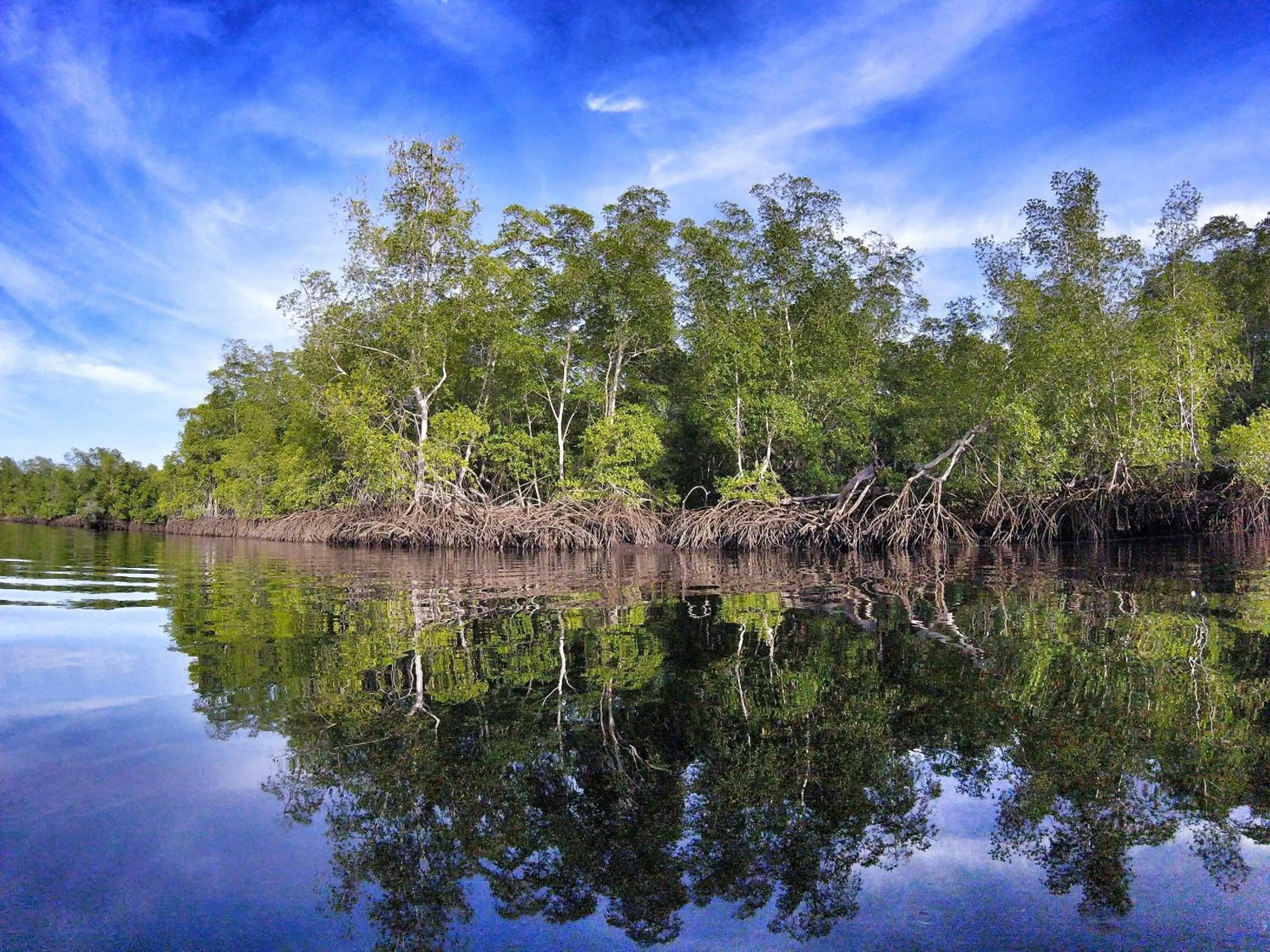 Nearby landmark in Hotel Miraflores
