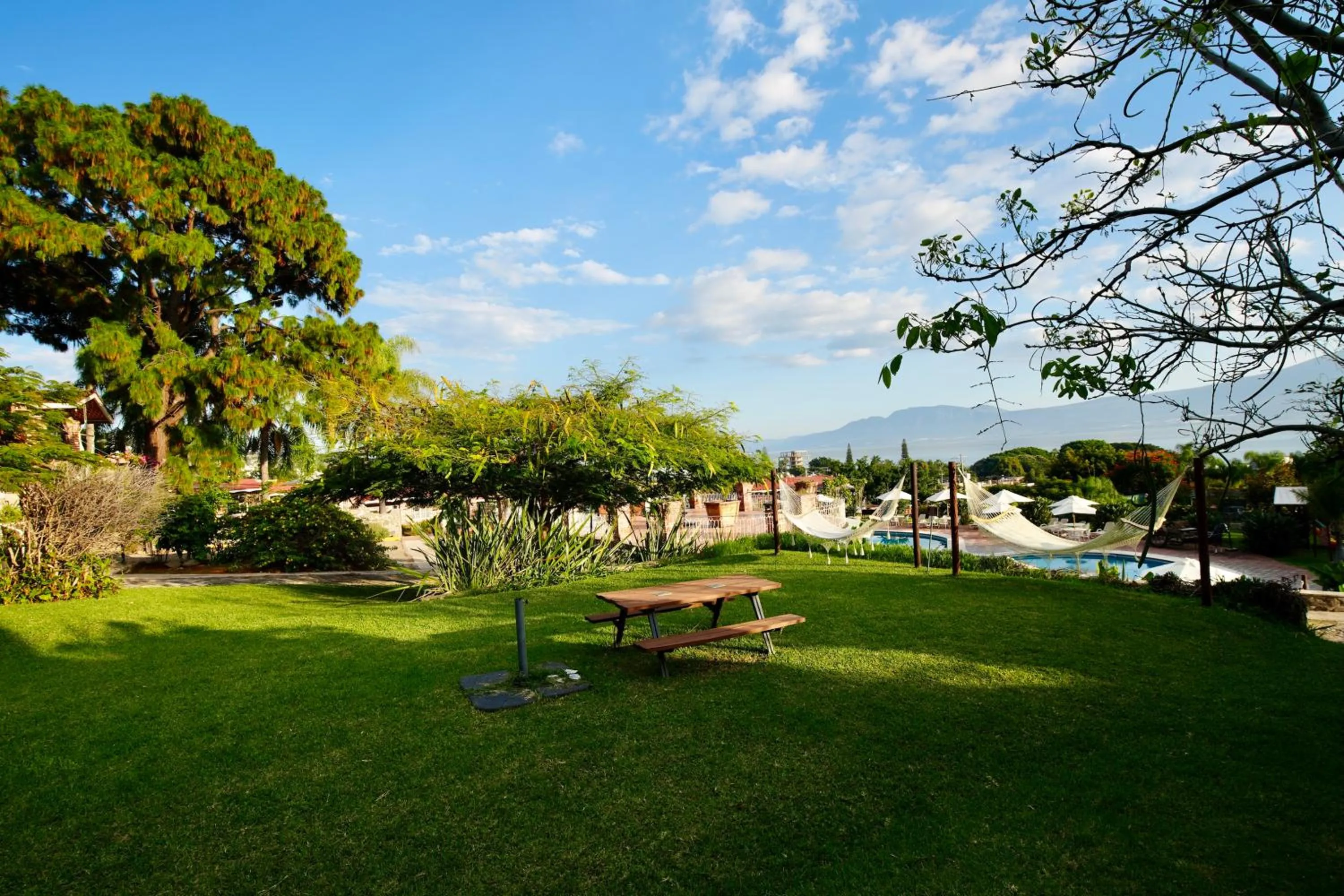 Natural landscape in Mama Chuy Hotel & Villas Ajijic
