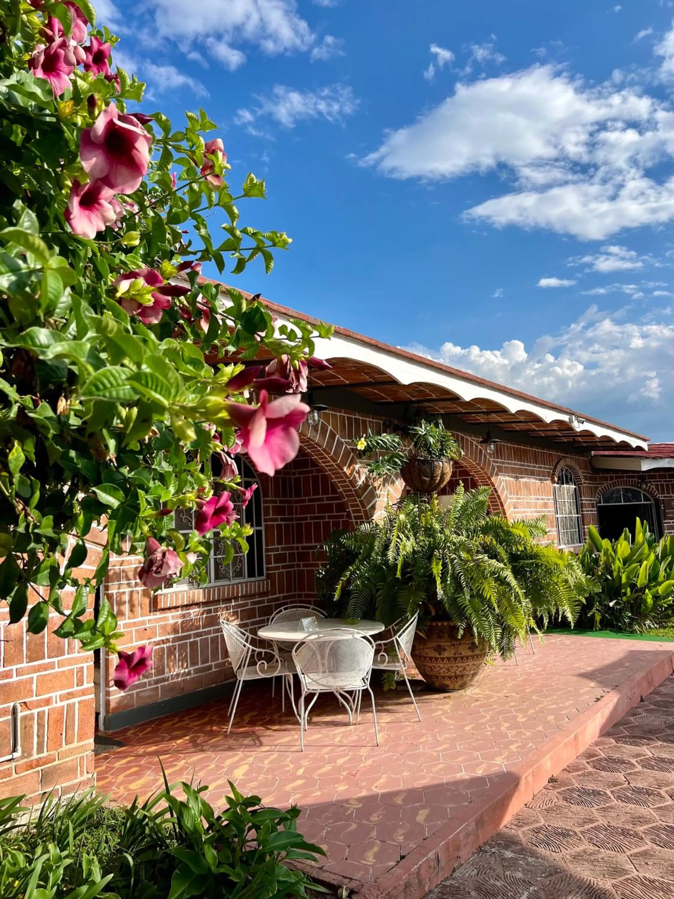 Patio in Mama Chuy Hotel & Villas Ajijic