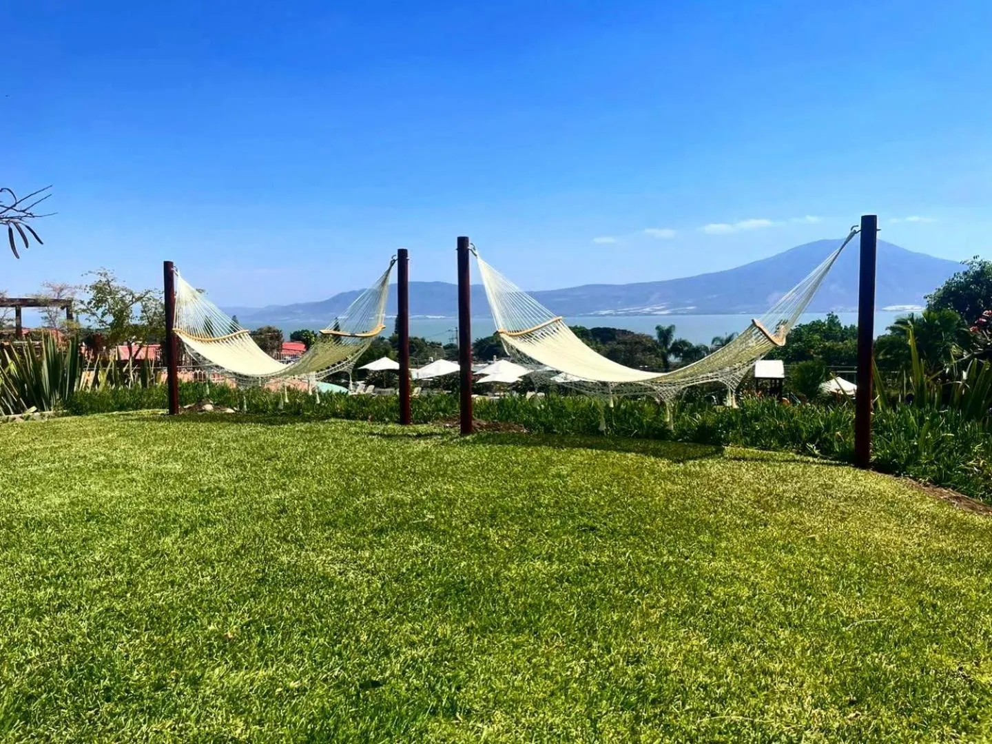 Garden view in Mama Chuy Hotel & Villas Ajijic