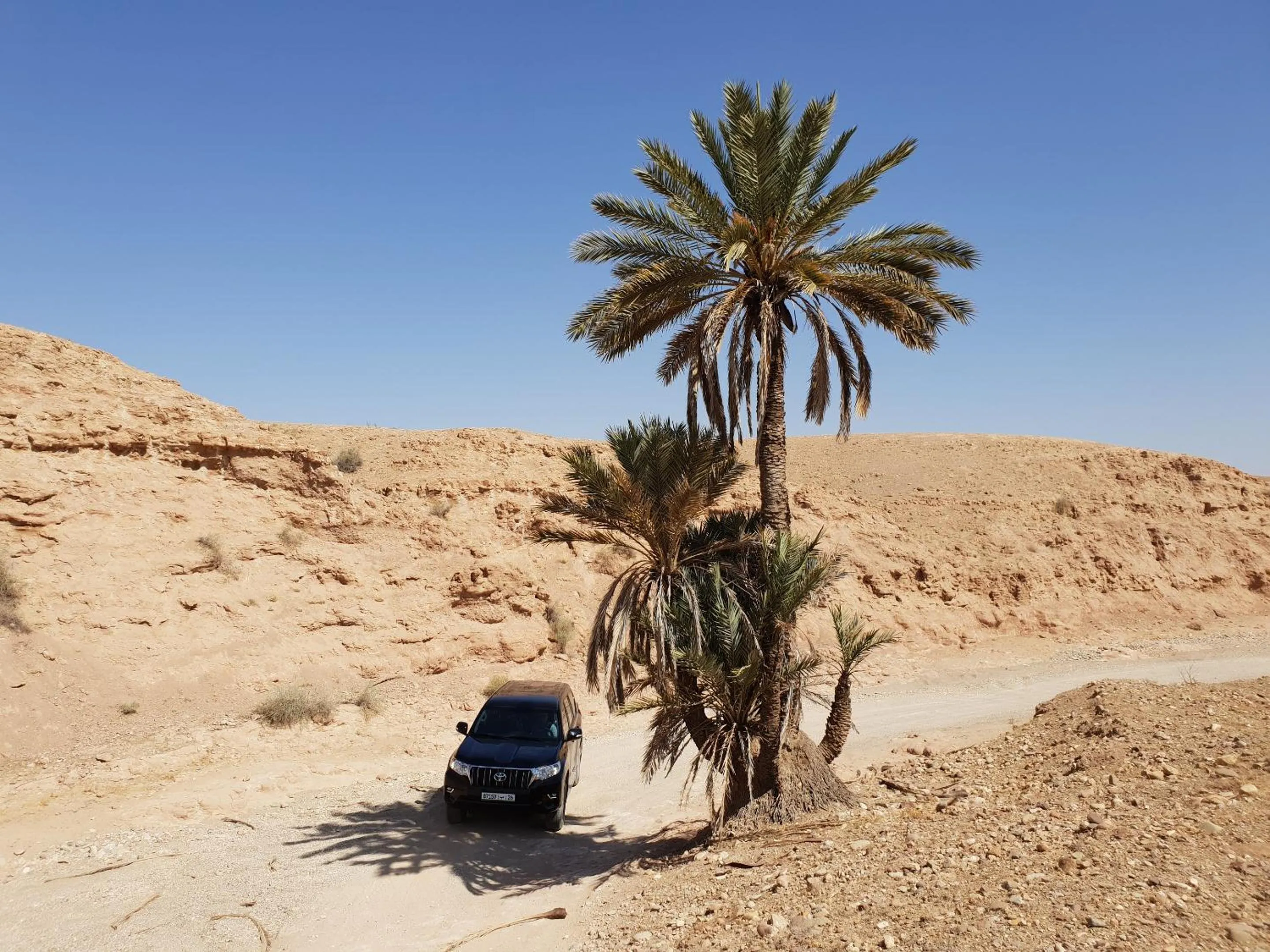 Natural landscape in Nkhila Lodge