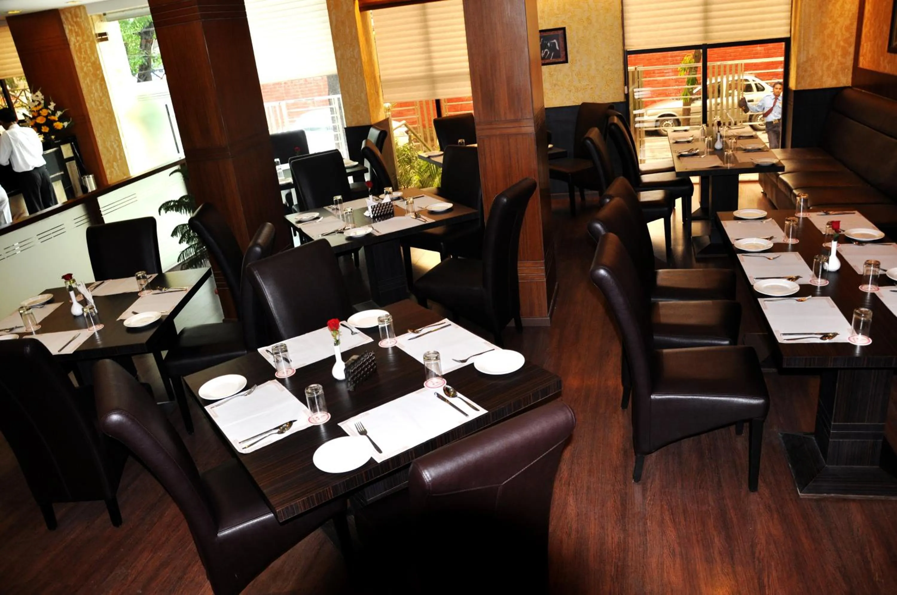 Divine Paradise Tavisha