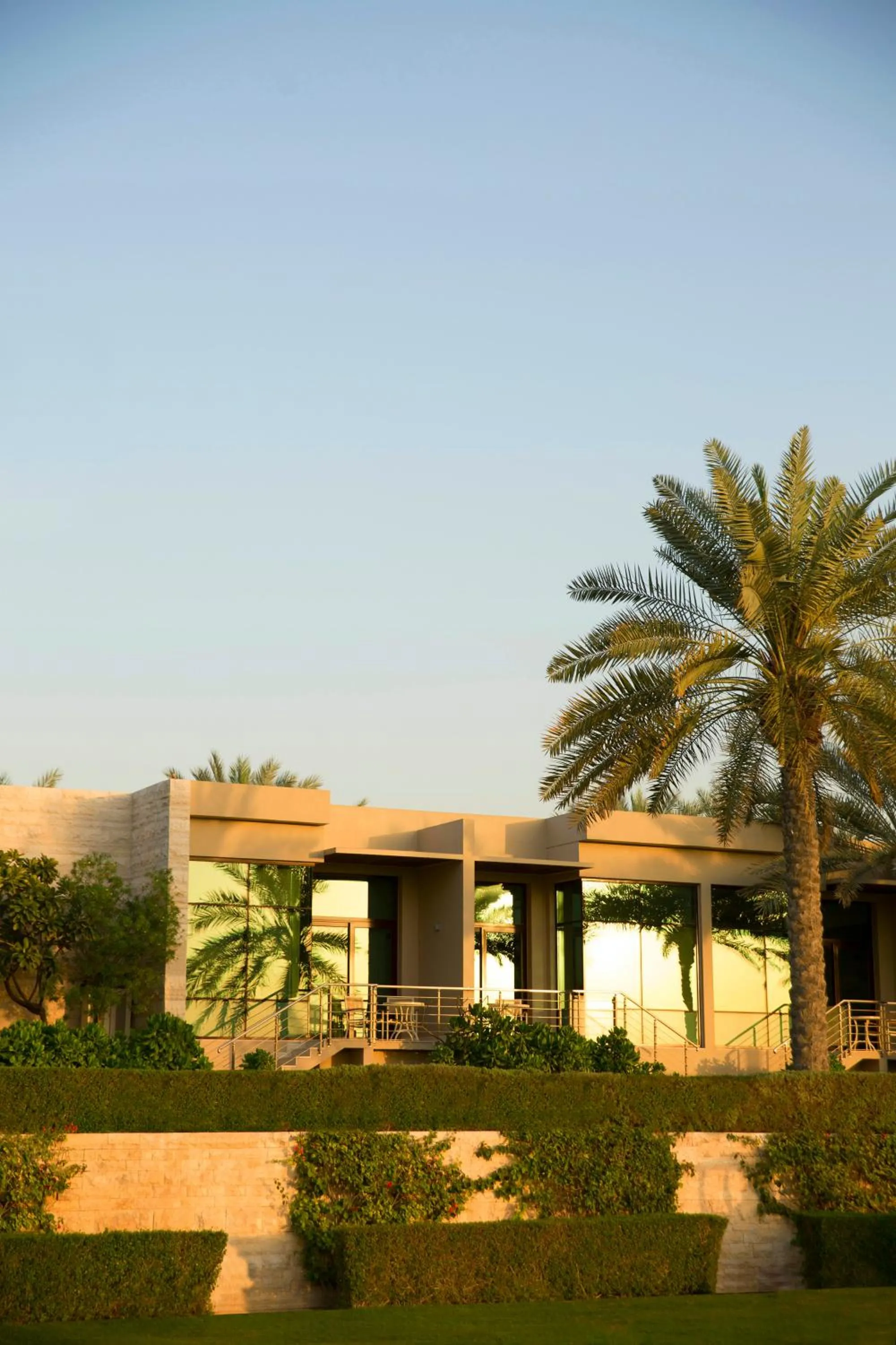 Garden in Meliá Desert Palm Member of Meliá Collection