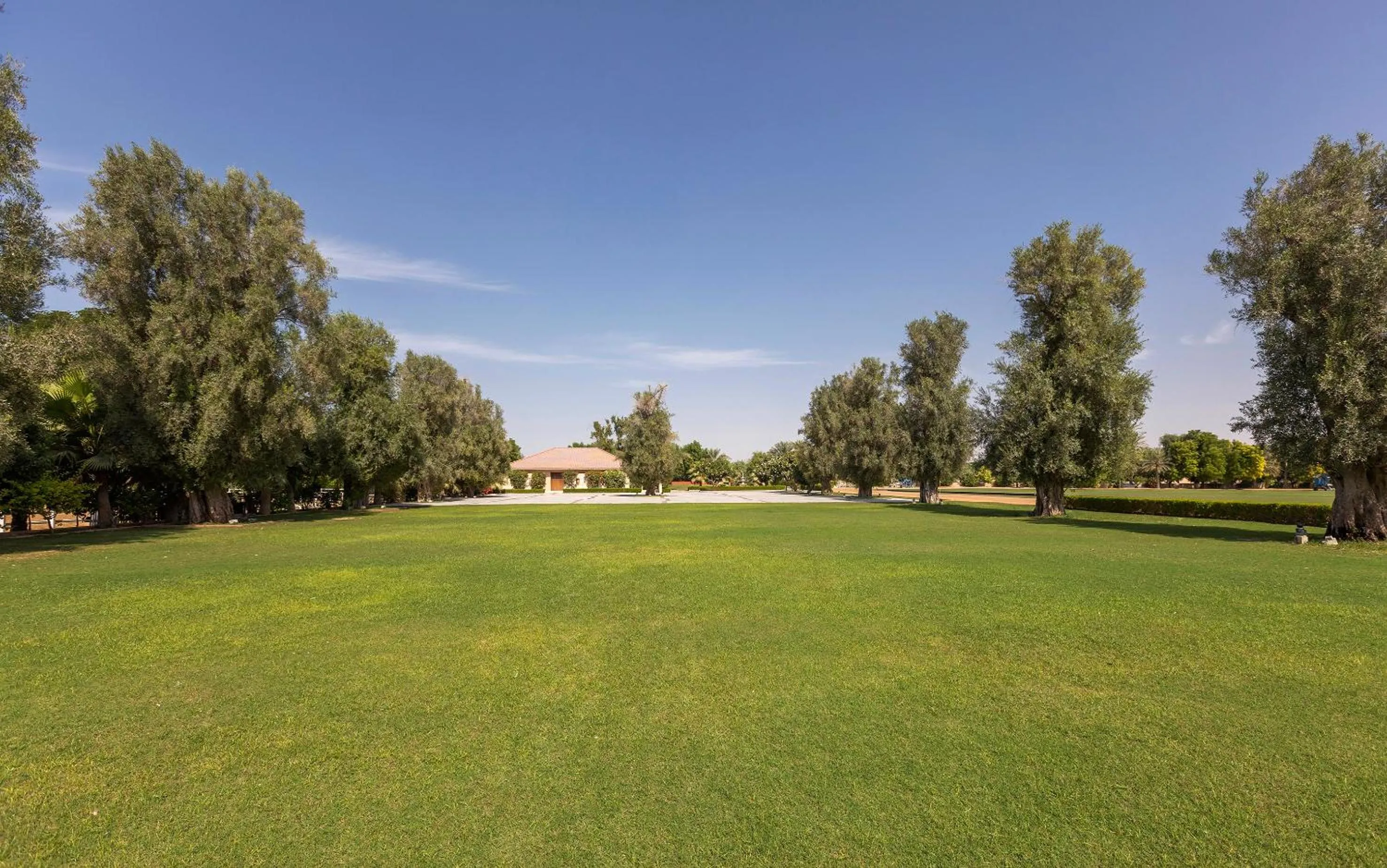 Spring in Meliá Desert Palm Member of Meliá Collection