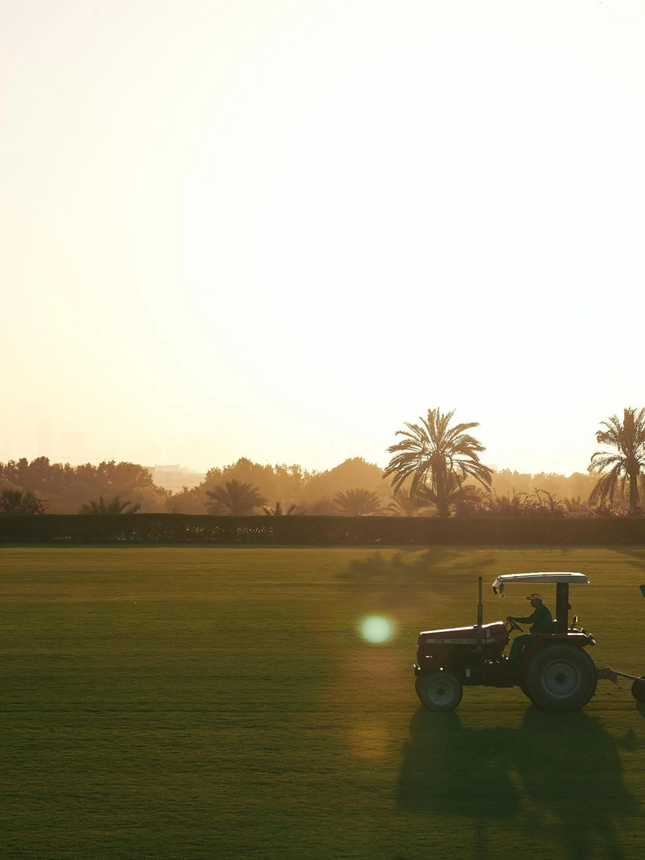 Entertainment in Meliá Desert Palm Member of Meliá Collection