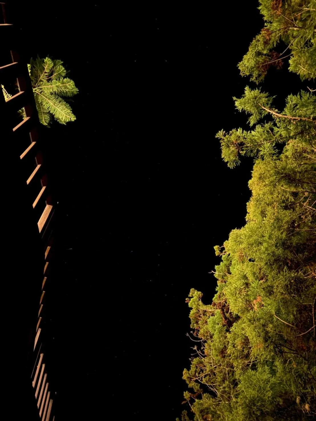 Property building in Ailiga Travel Villa