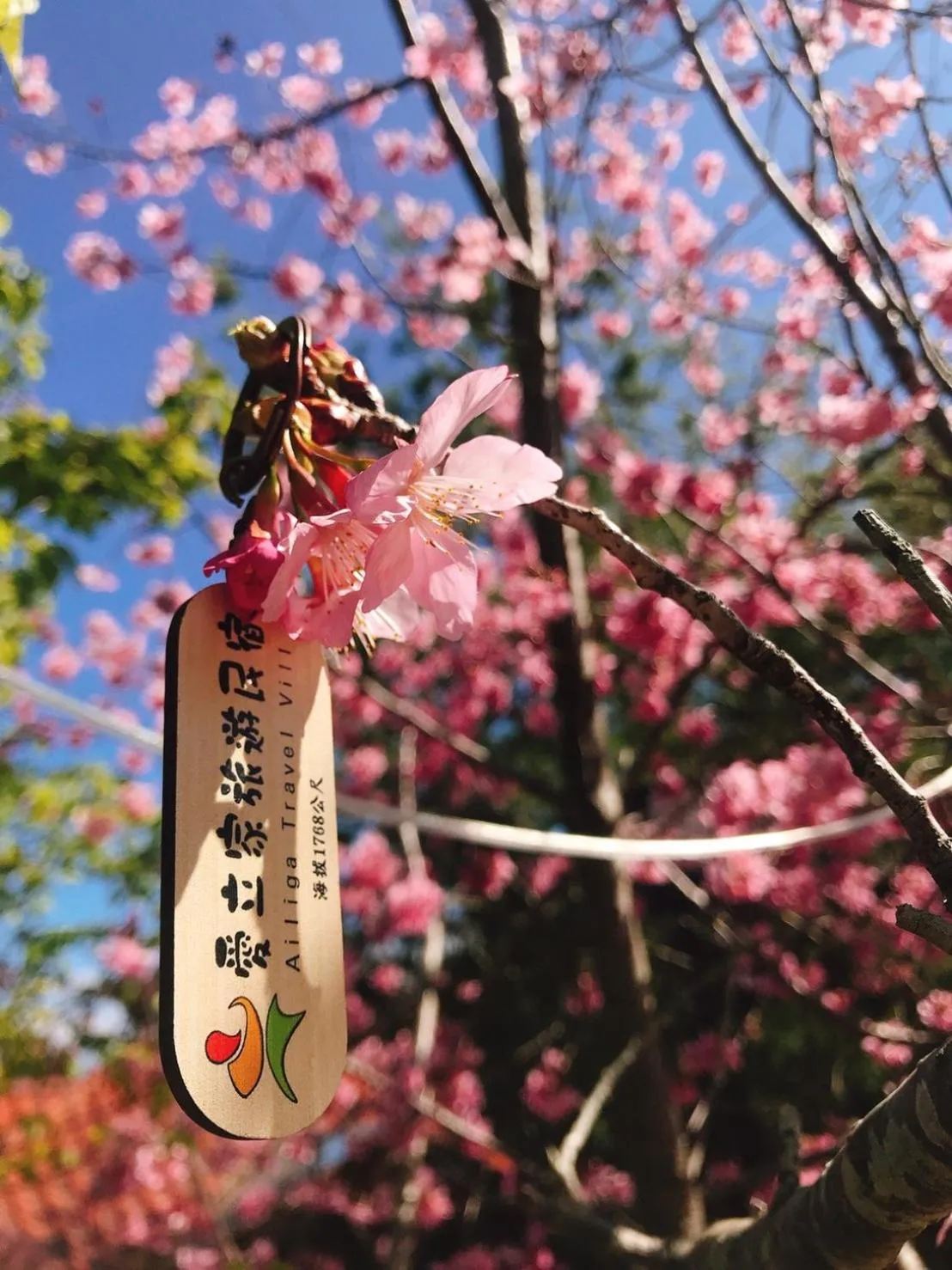 Logo/Certificate/Sign in Ailiga Travel Villa