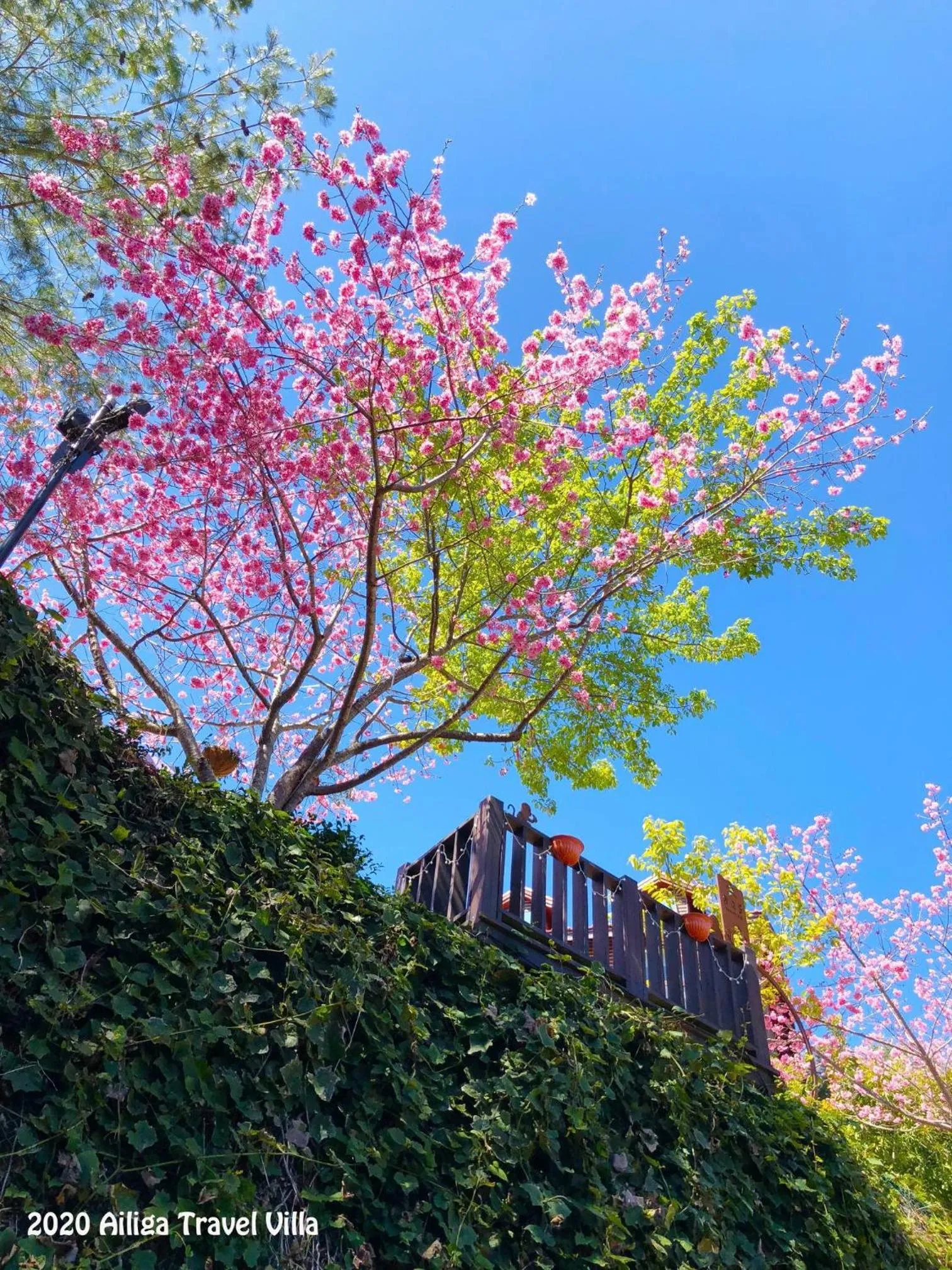 Natural landscape in Ailiga Travel Villa