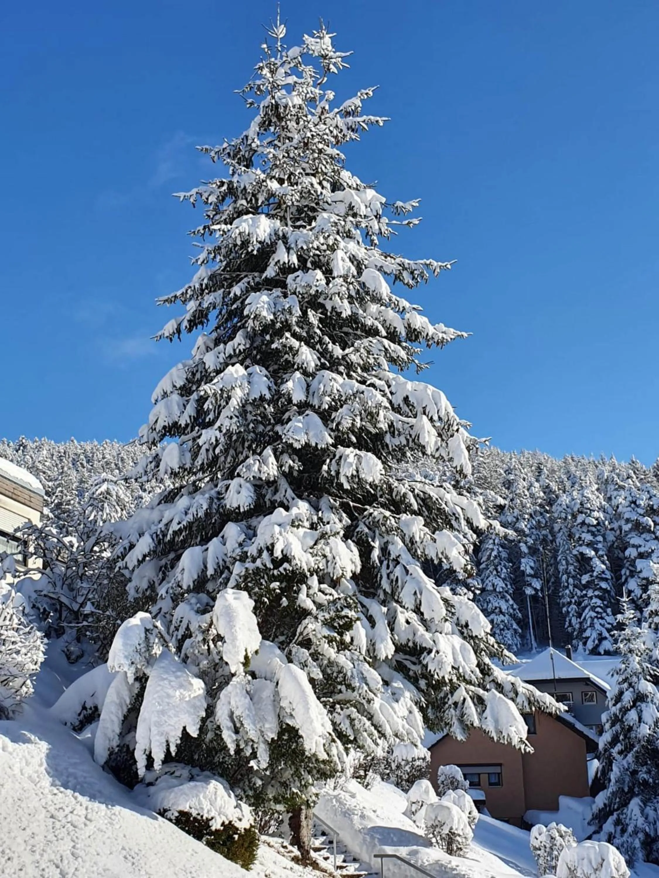 Off site in Sackmann Genuss und Spa Resort