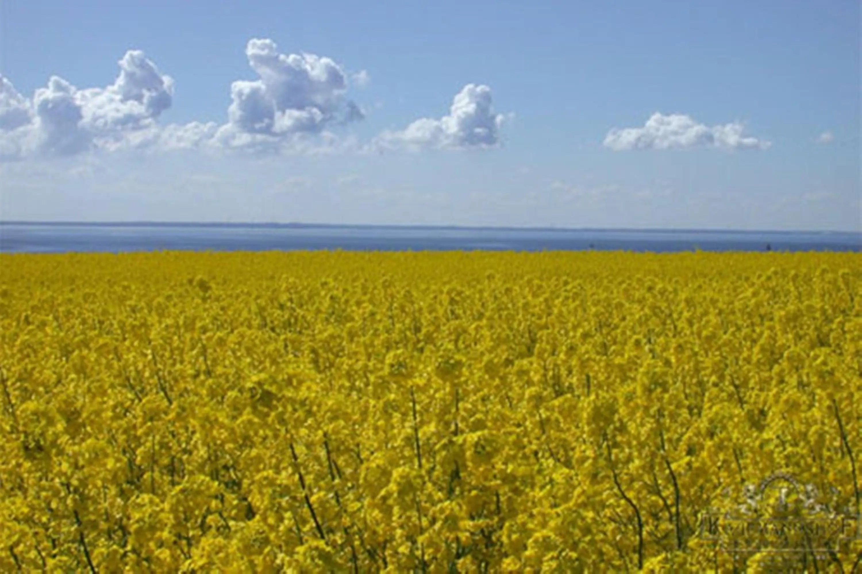 Natural landscape in Romantik Hotel Kaufmannshof