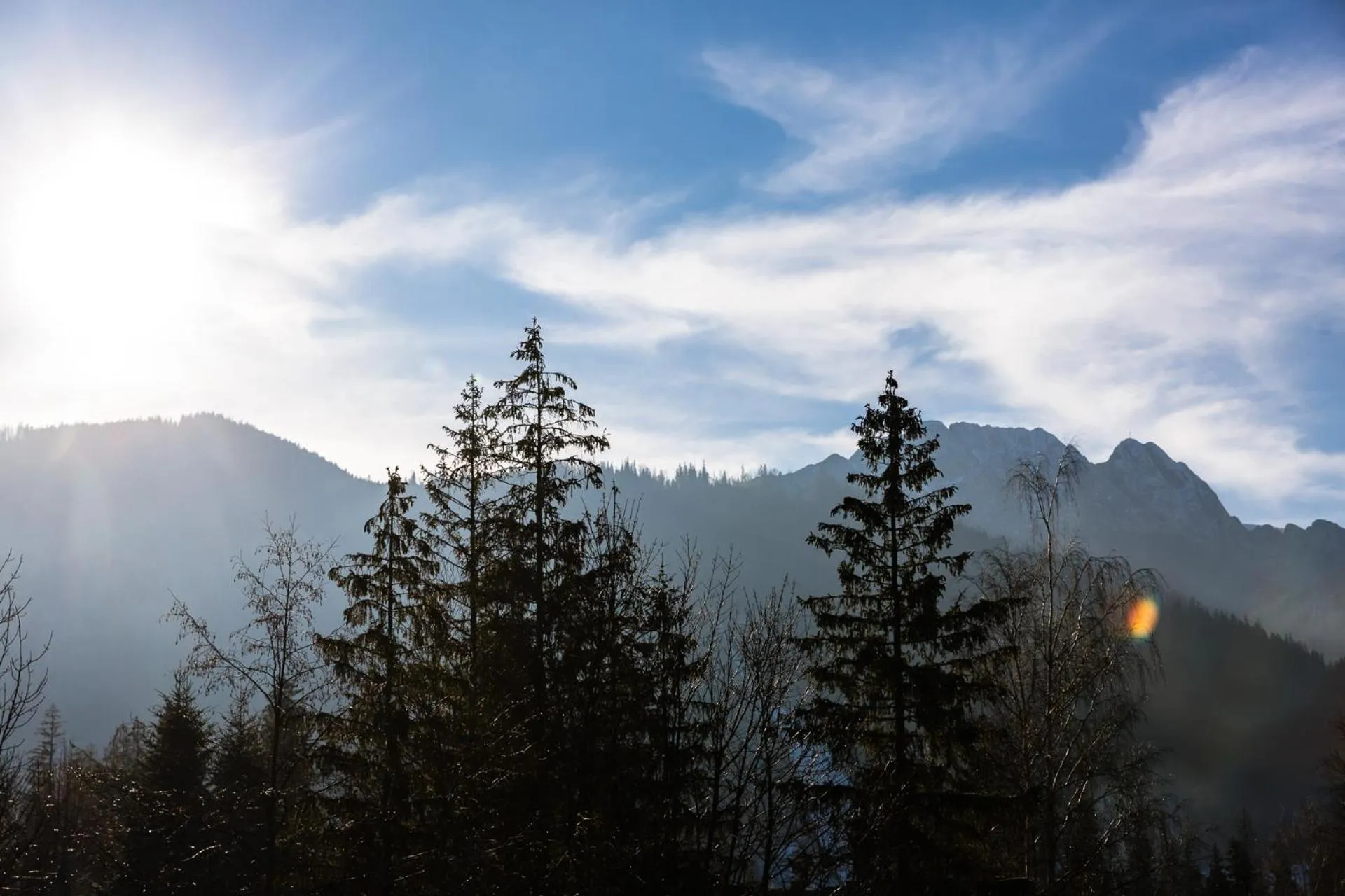 Mountain view in Narciarski Dworek