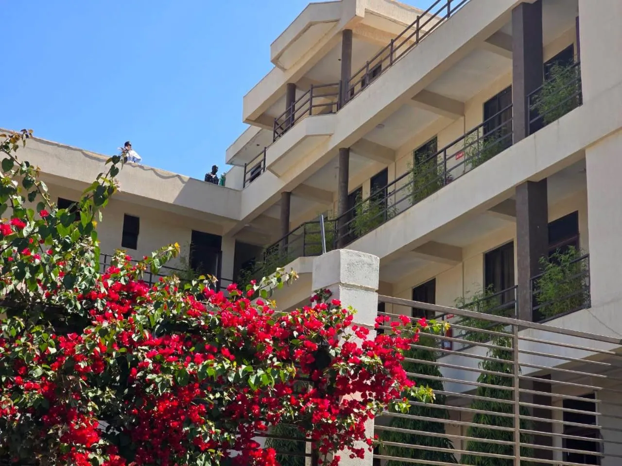 Property building in Walabi Mara Hotel