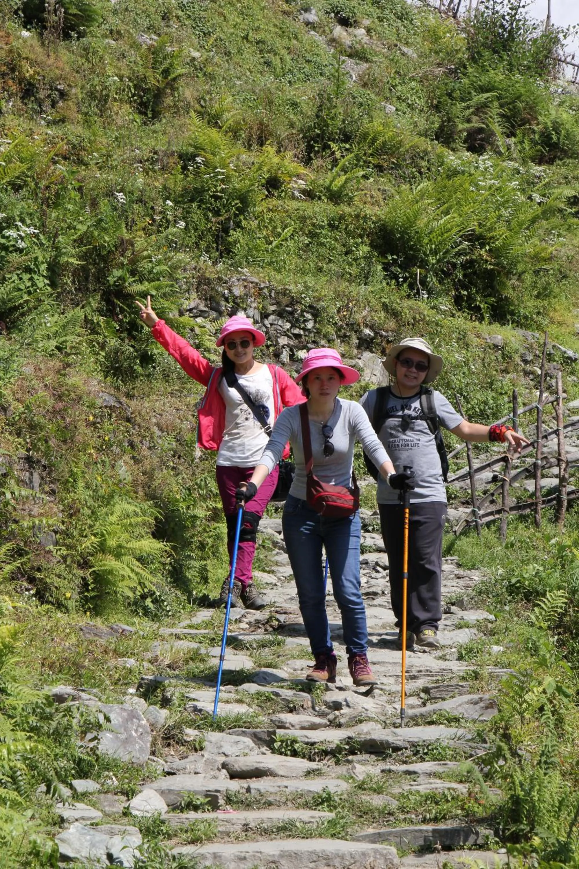Hiking in Hotel Fishtail Villa