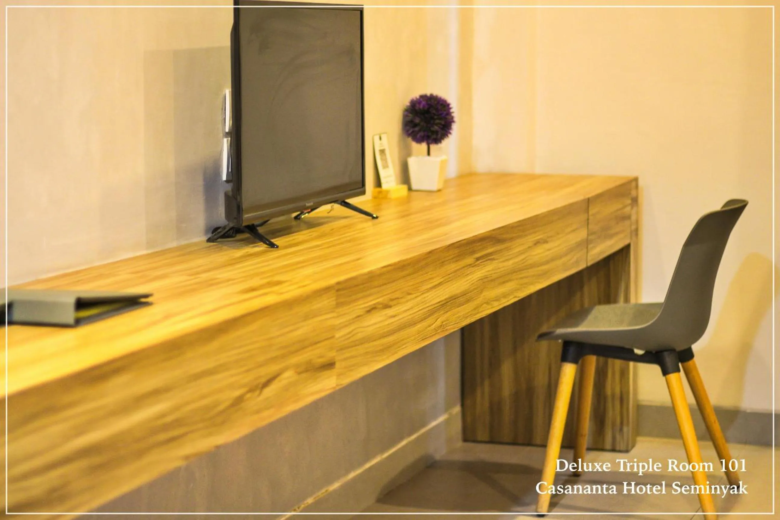 TV and multimedia in Casananta Seminyak