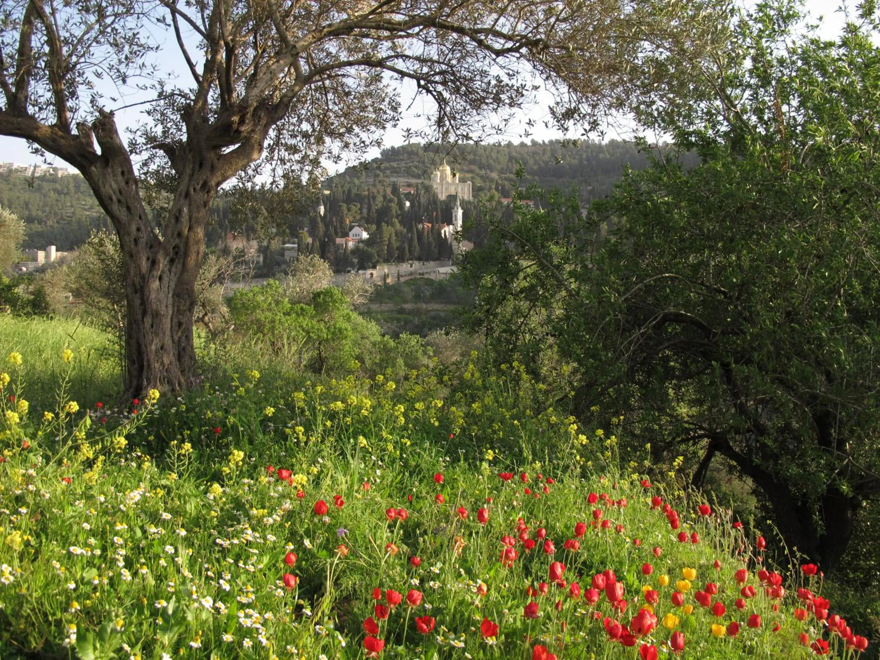 Spring in Khan Ein Karem Boutique Hotel