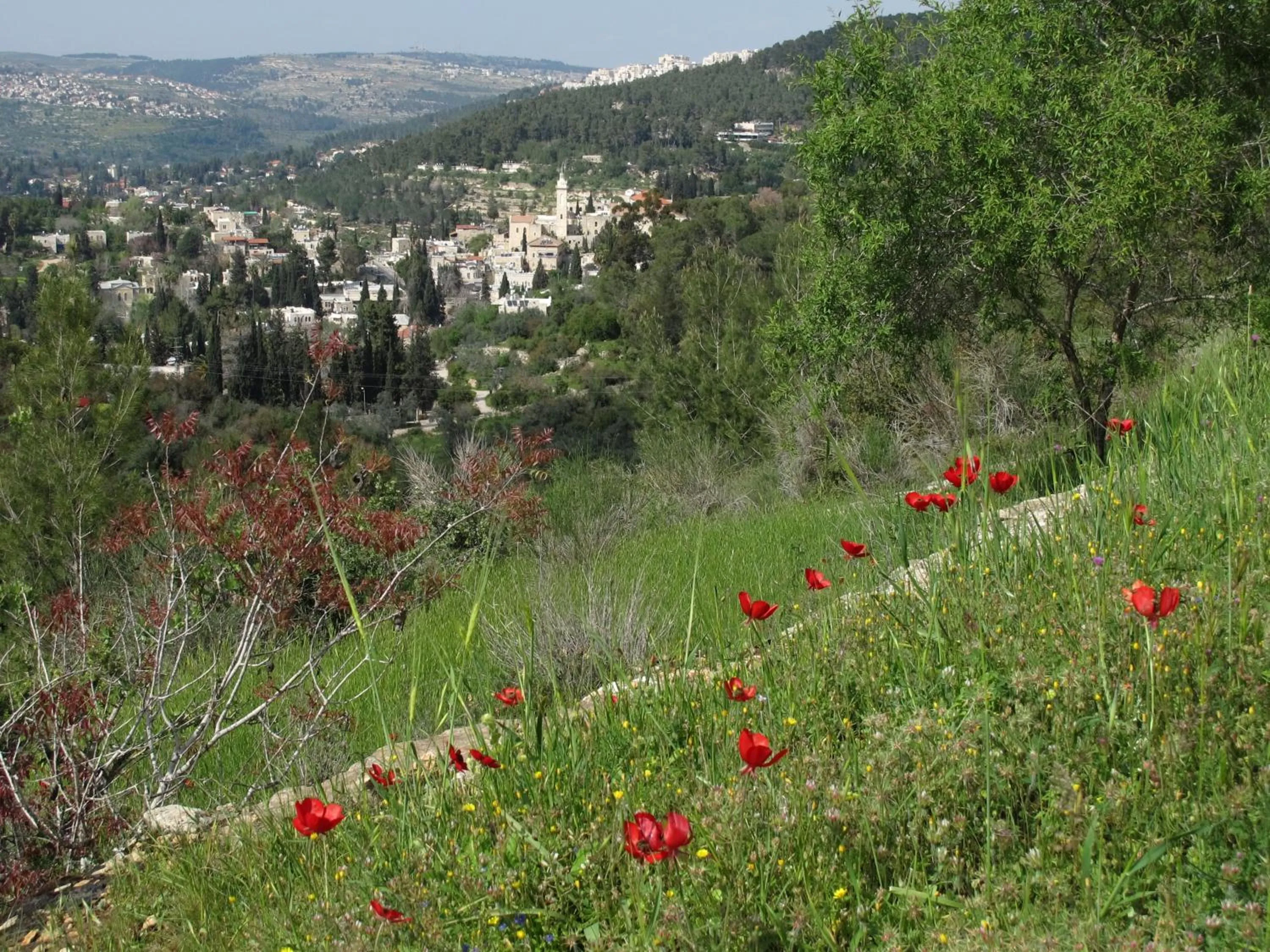 Spring in Khan Ein Karem Boutique Hotel