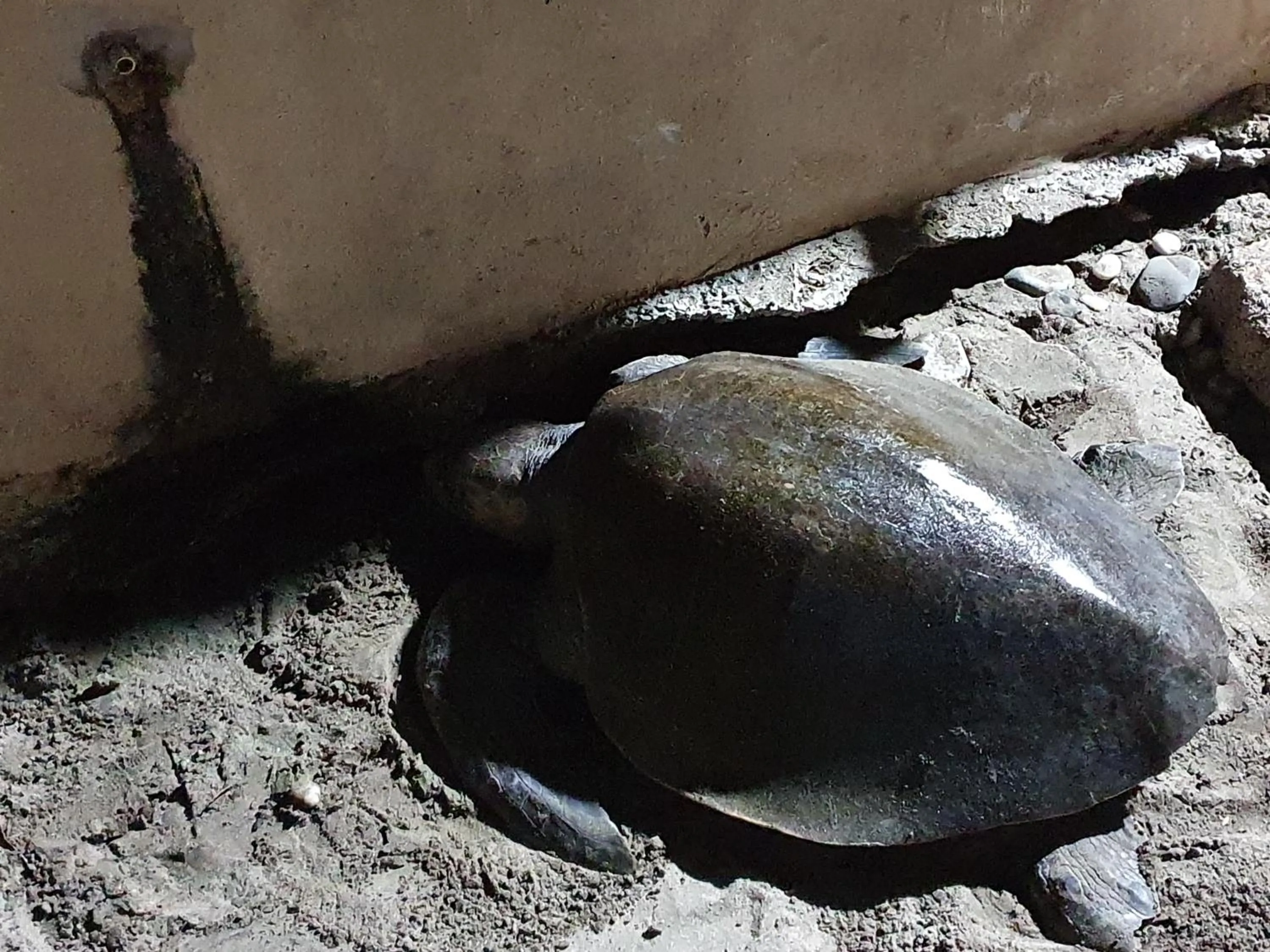 Property building in Bungalows La Perla Playa Azul