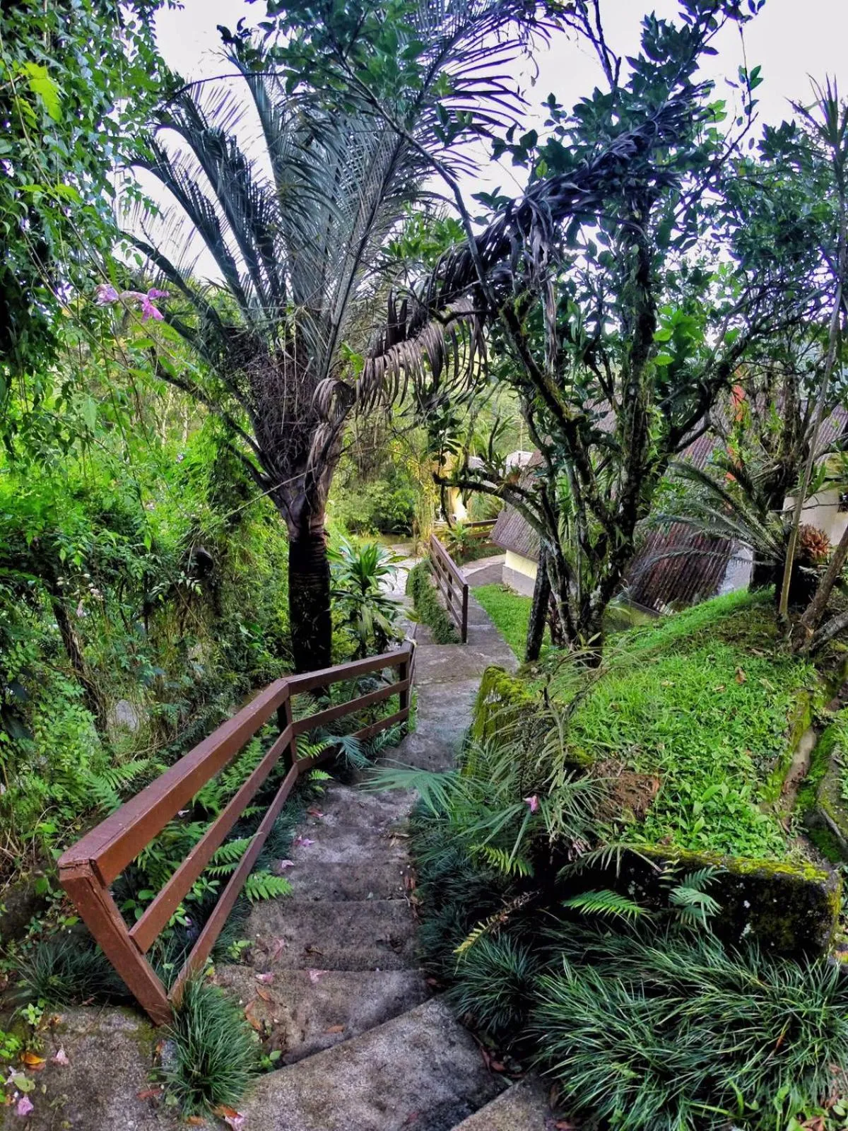 Natural landscape in Pousada Colibri Serrano