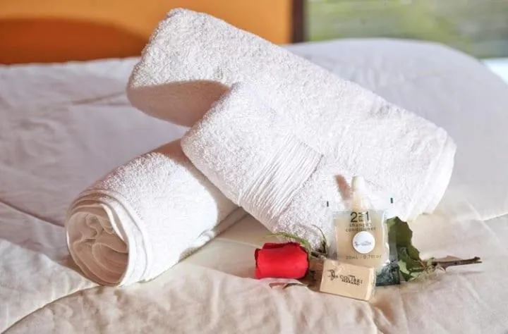 Decorative detail, Bed in Pousada Colibri Serrano