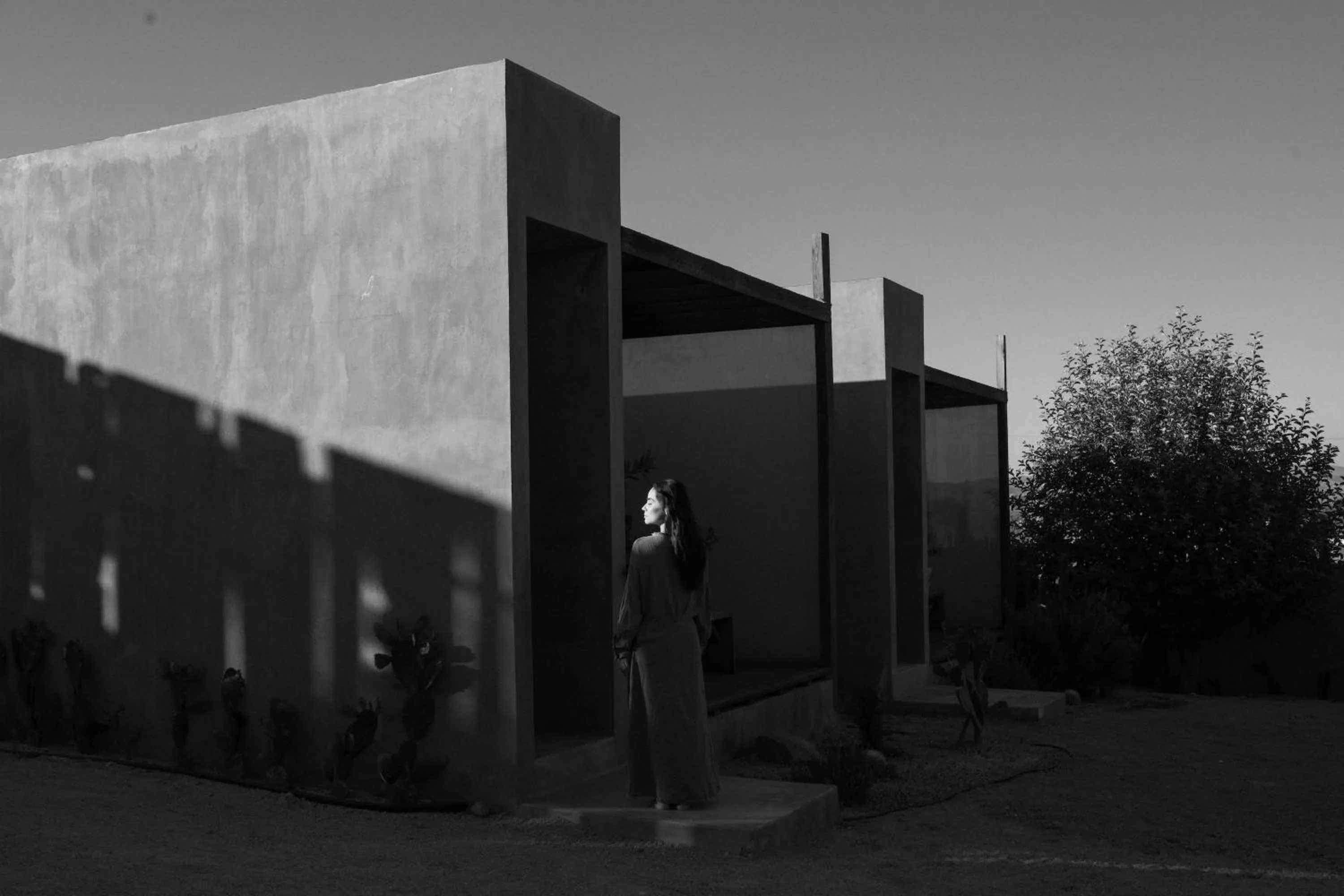 Decorative detail in Casa Michaus Valle de Guadalupe