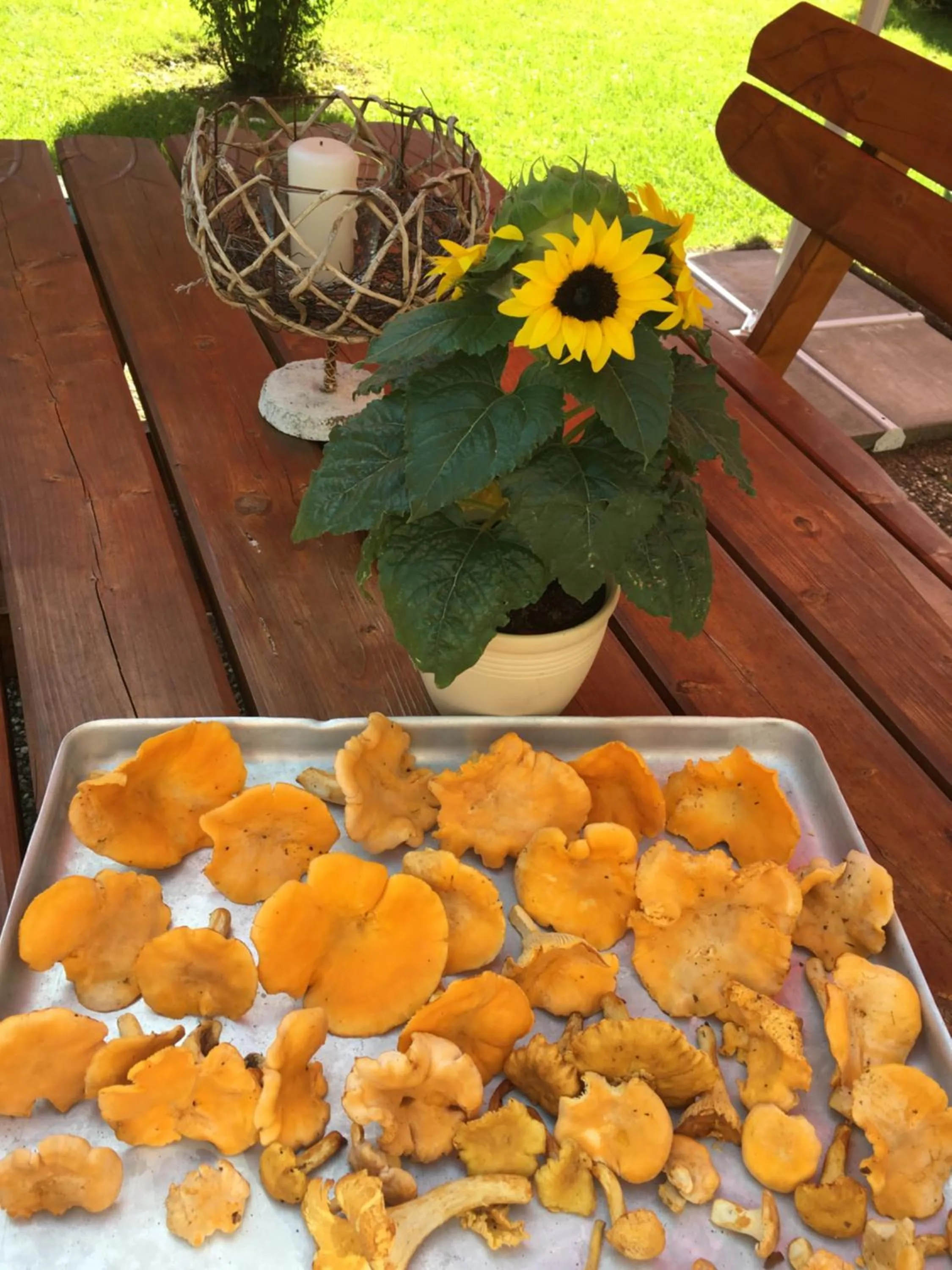 Restaurant/places to eat in Landhotel Kunzental