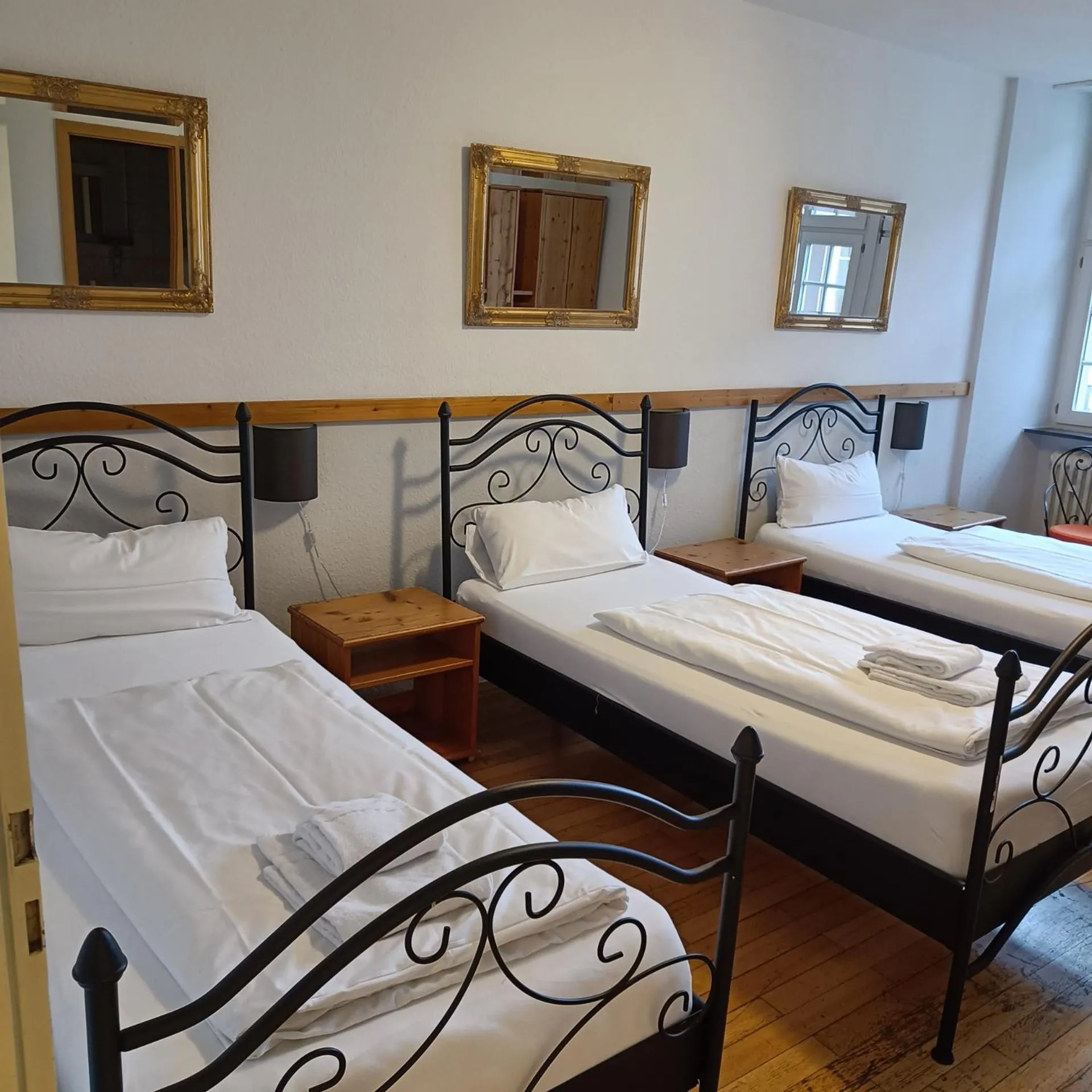 Standard Triple Room - single occupancy in Hotel Gasthaus Schützen
