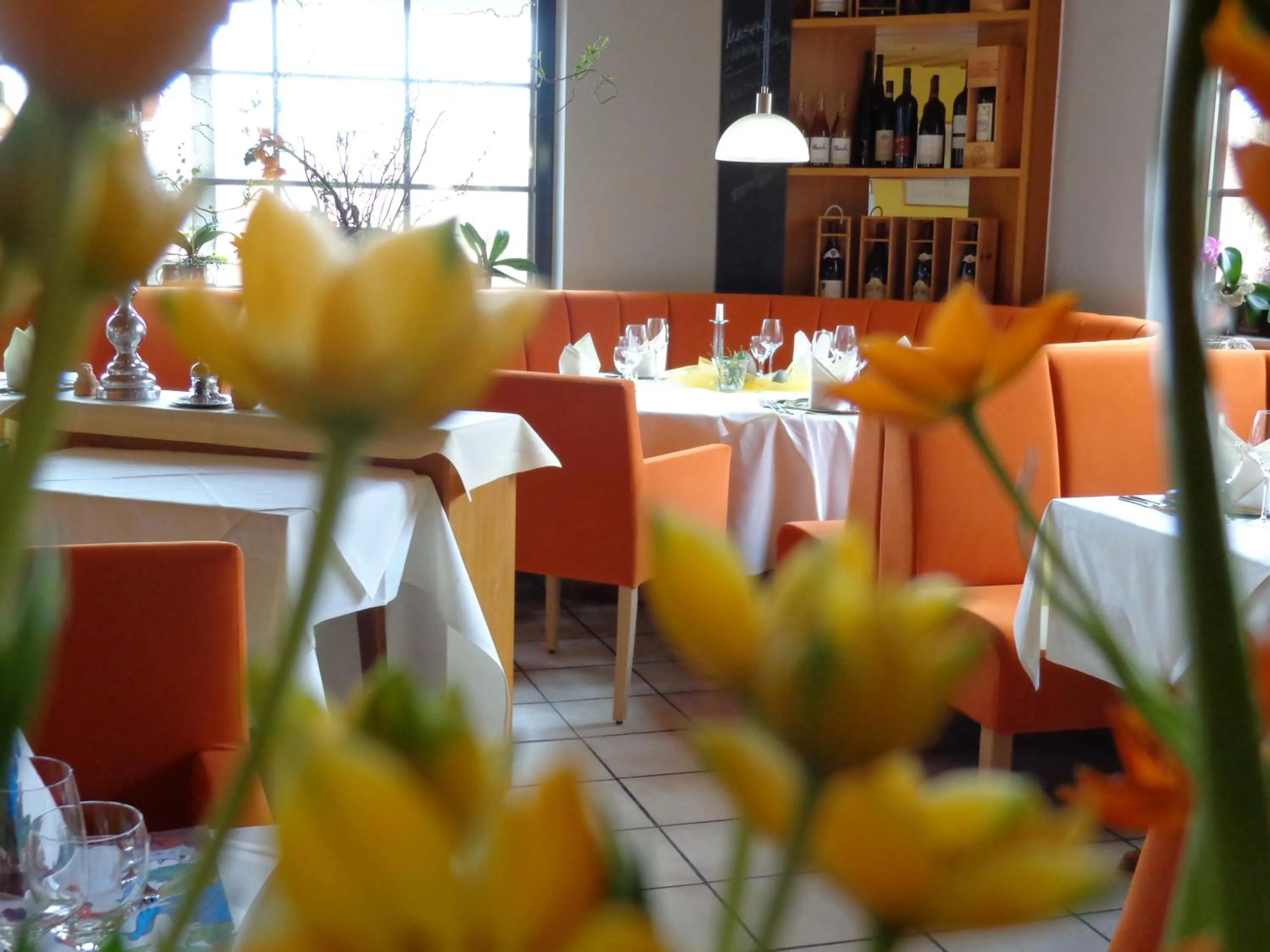 Restaurant/places to eat in Waldhotel Felschbachhof
