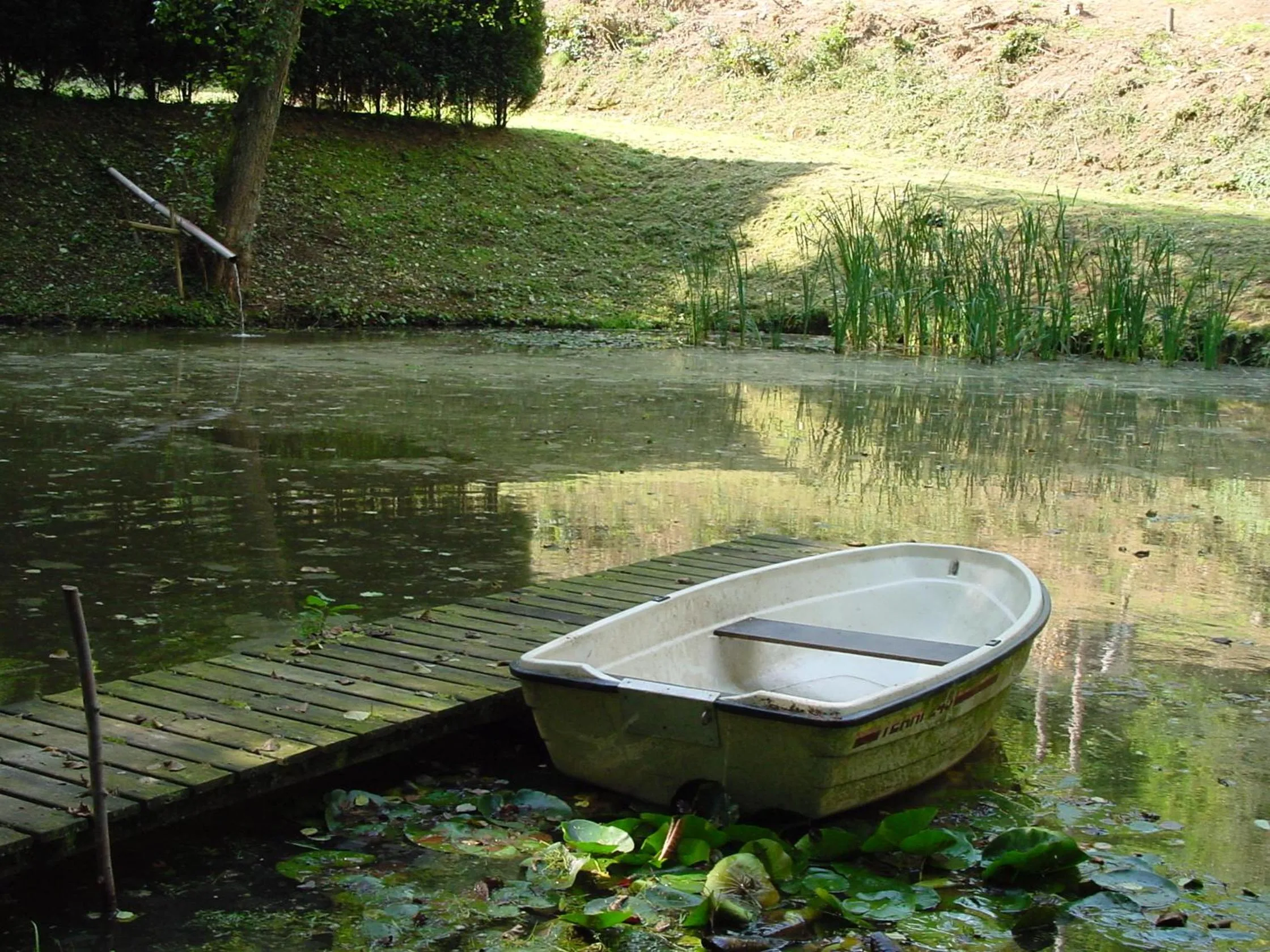 Natural landscape in Waldhotel Felschbachhof