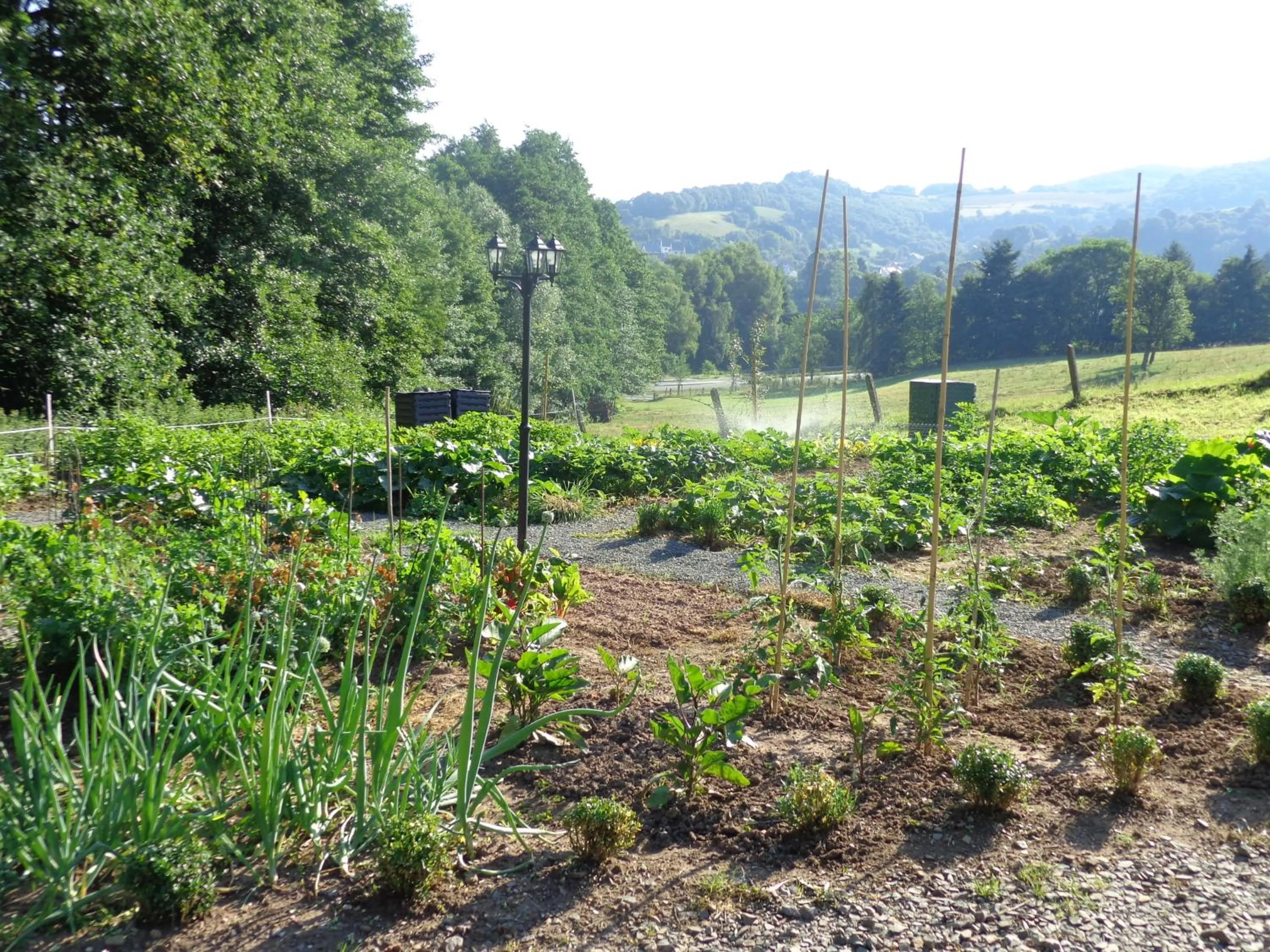 Garden in Waldhotel Felschbachhof