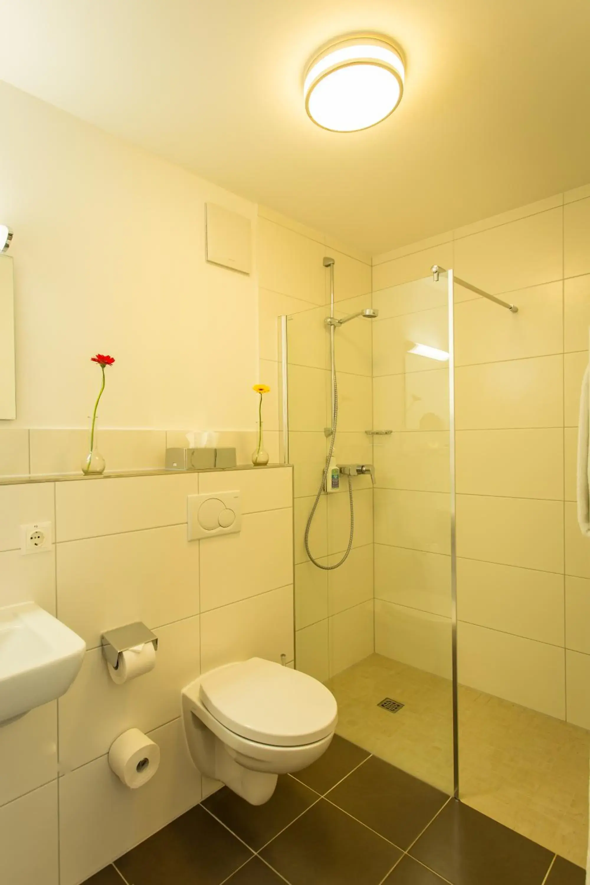 Comfort Single Room in Waldhotel Felschbachhof Comfort Single Room in Waldhotel Felschbachhof