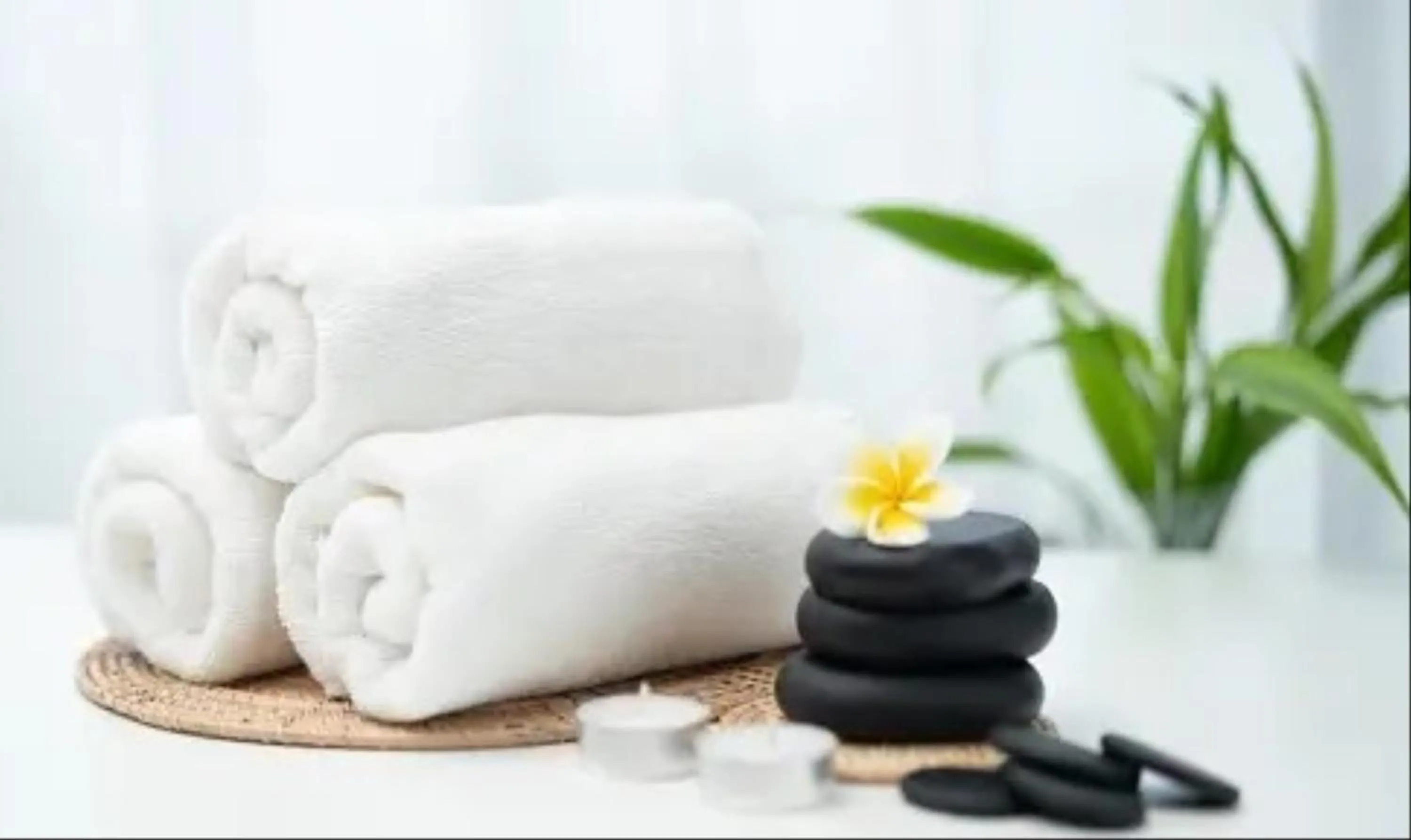 Spa and wellness centre/facilities in Sterling Gir