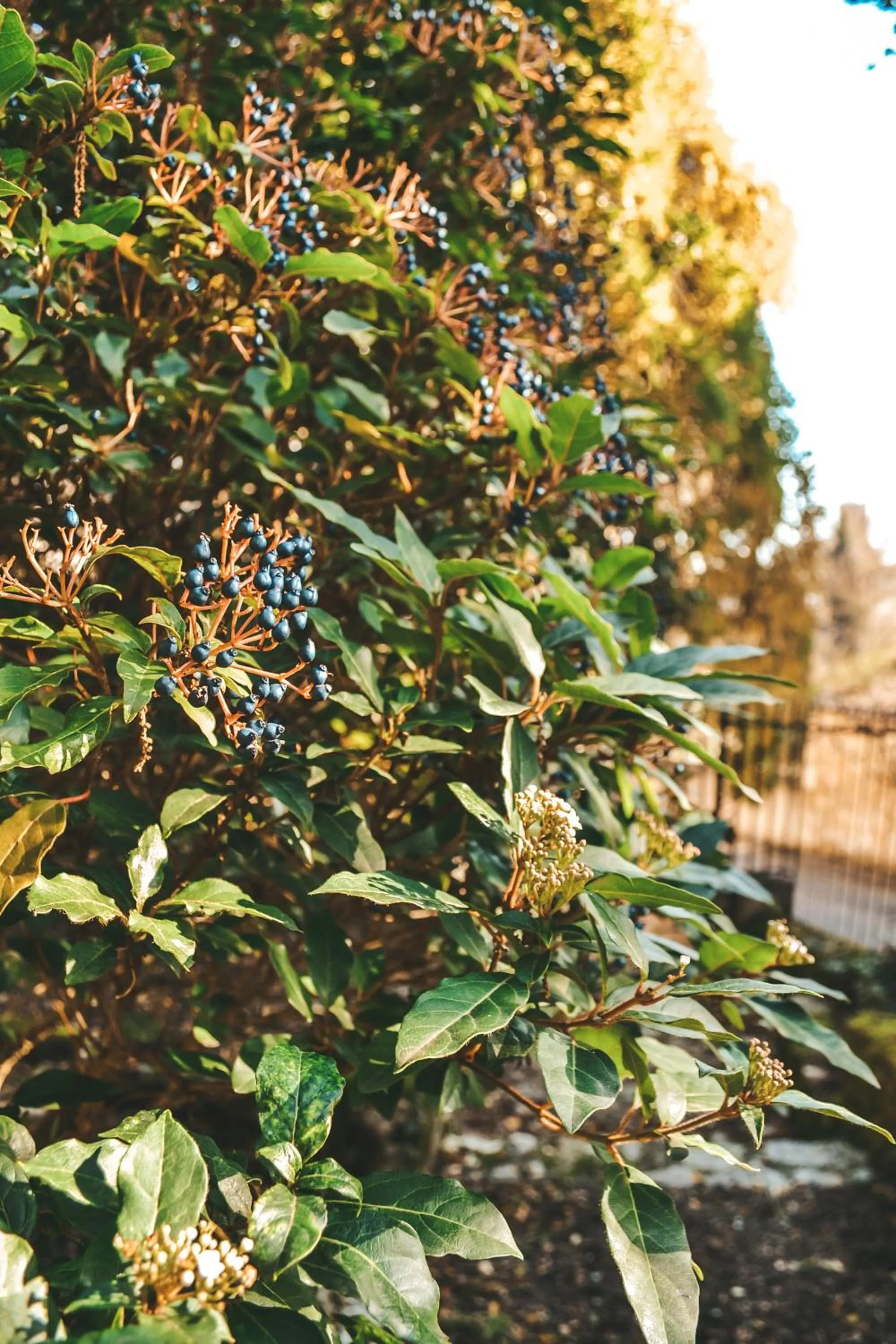 Property building in Le Chai