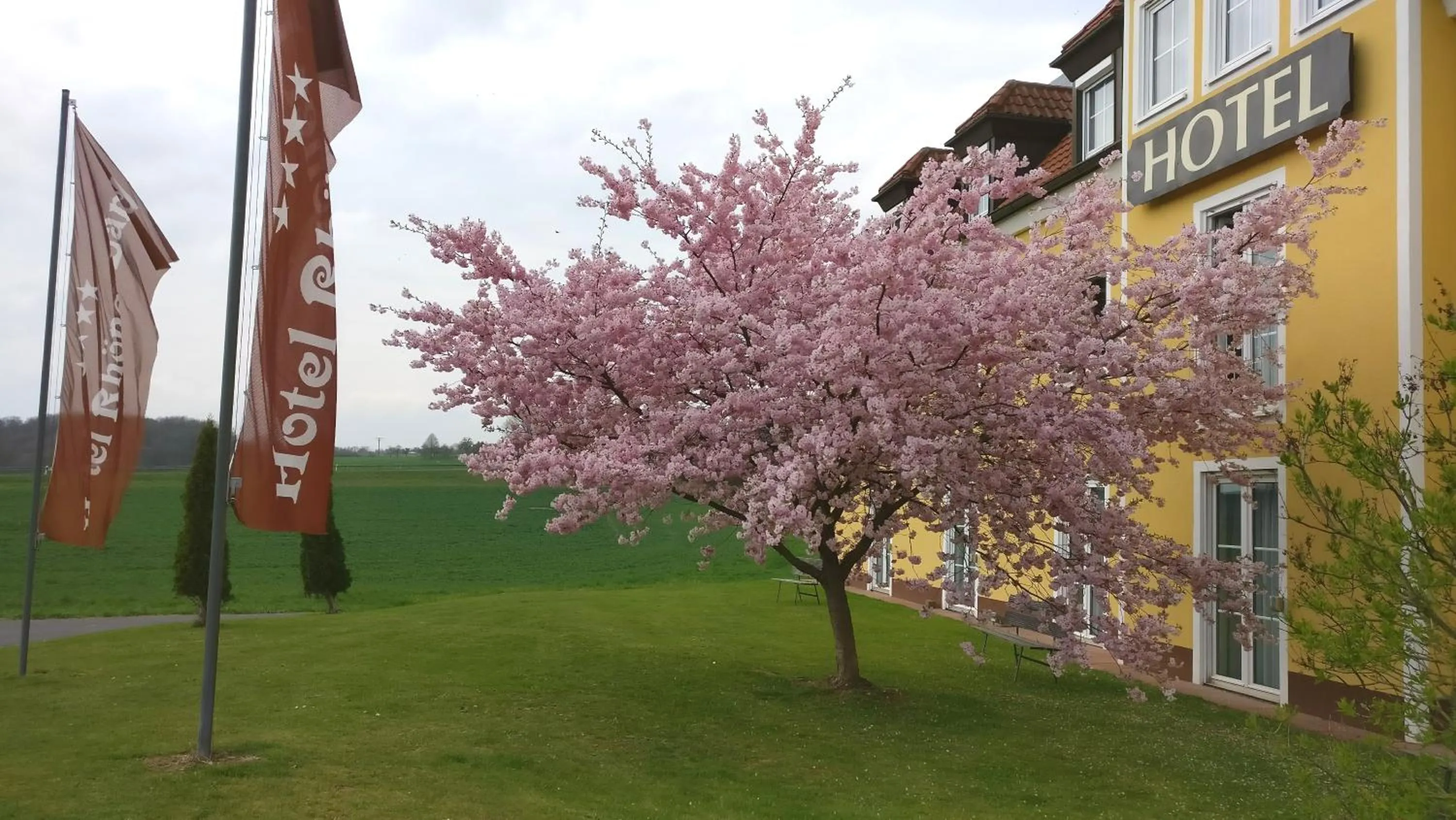 Spring in Hotel Rhöner Land Garni - Bed & Breakfast