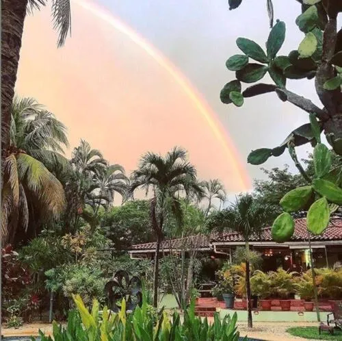 Garden in The Grateful Hotel