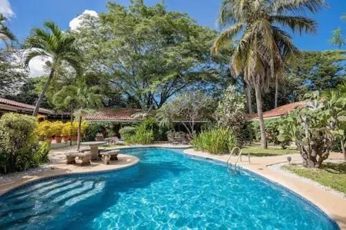 Swimming pool in The Grateful Hotel