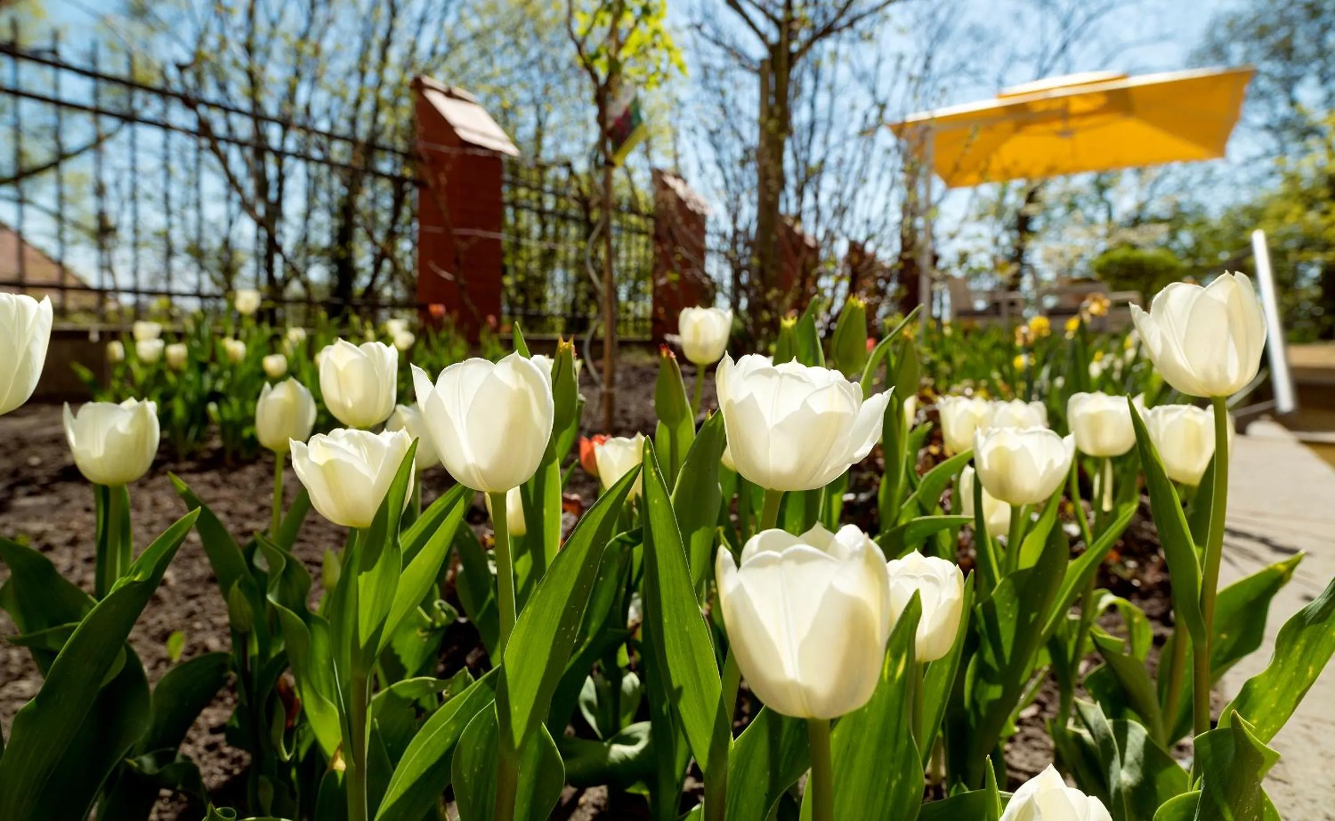 Garden in Hotel Villa Monte Vino