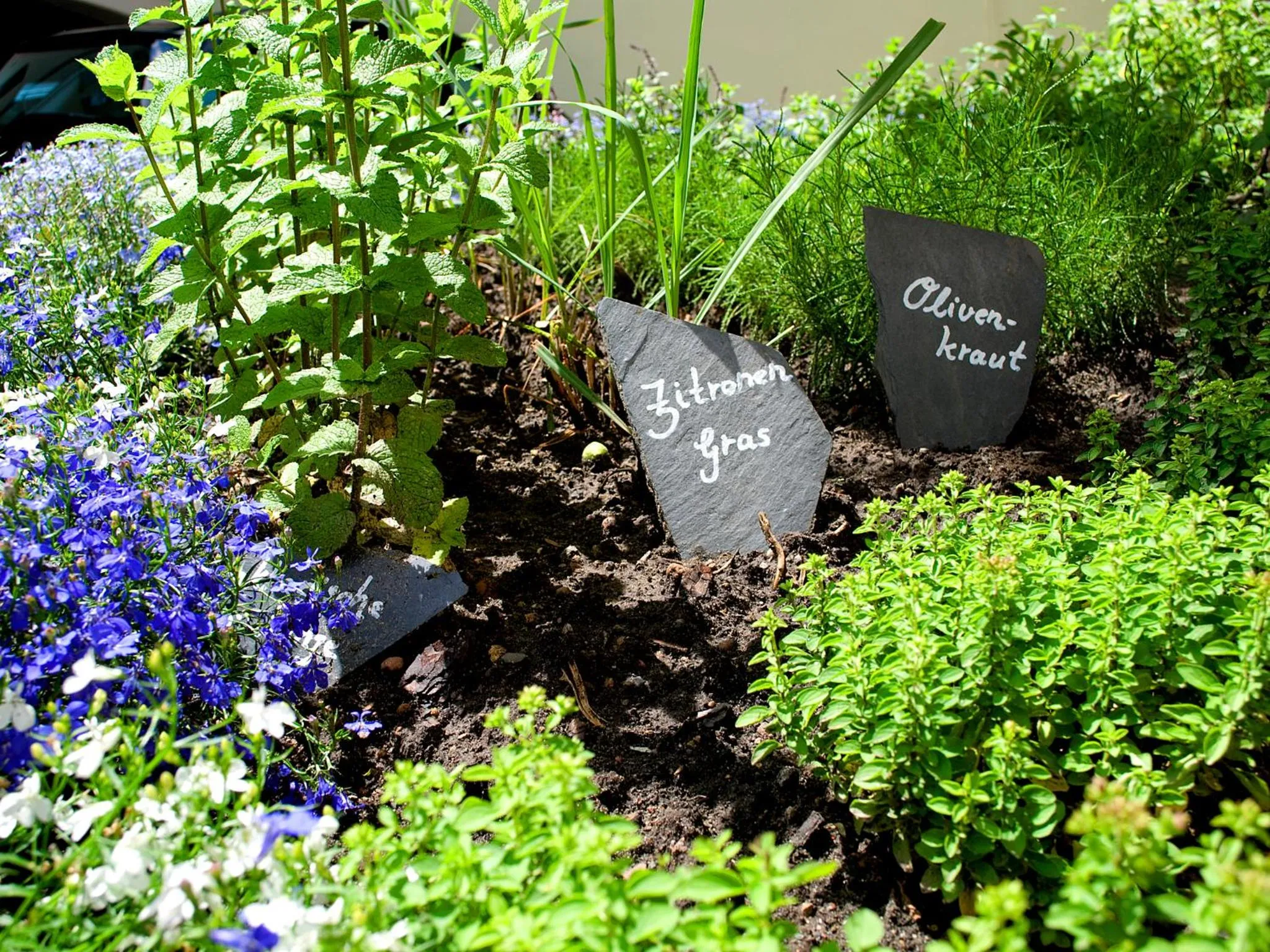 Other in Hotel Villa Monte Vino