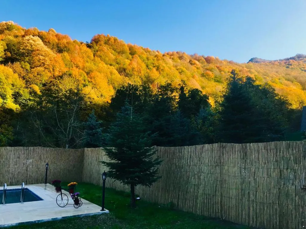 Sapanca Çağlayan Bungalow