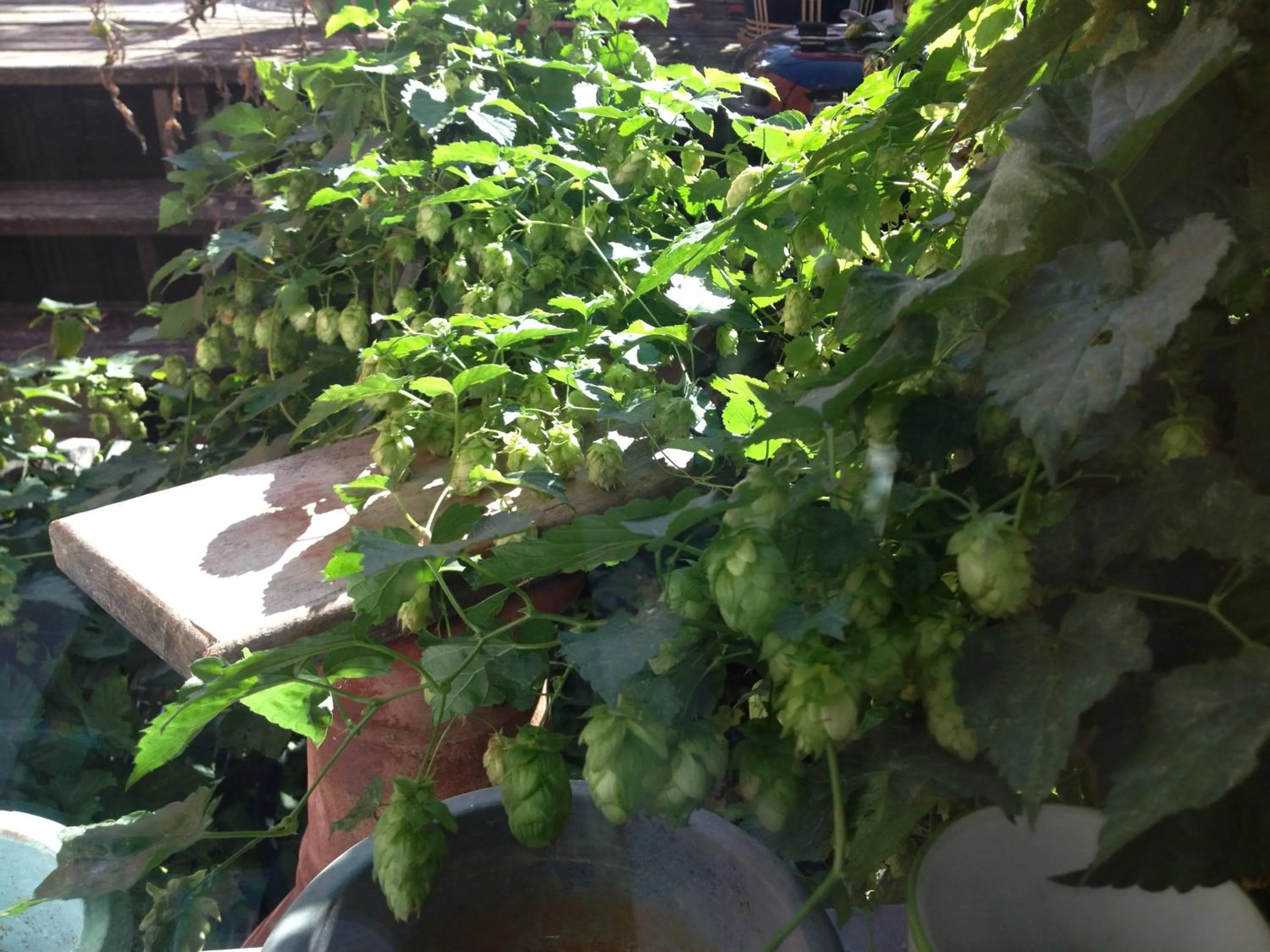 Gästehaus Alter Graben 8